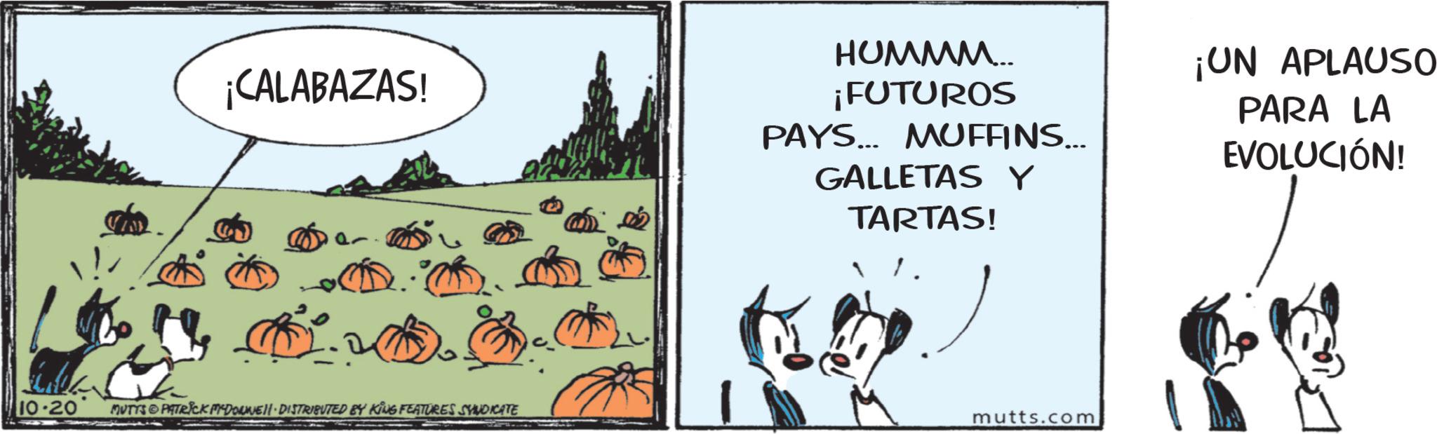 Photo caption OCR: ¡CALABAZAS! HUMMM... ¡FUTUROS PAYS... MUFFINS... GALLETAS Y TARTAS! 10-20 MUTTS PATRICK MYDONNE DISTRIBUTED BY KING FEATURES SYNDICATE mutts.com ¡UN APLAUSO PARA LA EVOLUCIÓN! ¡ CALABAZAS ! HUMMM ... ¡ FUTUROS PAYS ... MUFFINS ... GALLETAS Y TARTAS ! 10-20 MUTTS PATRICK MYDONNE DISTRIBUTED BY KING FEATURES SYNDICATE mutts.com ¡ UN APLAUSO PARA LA EVOLUCIÓN !