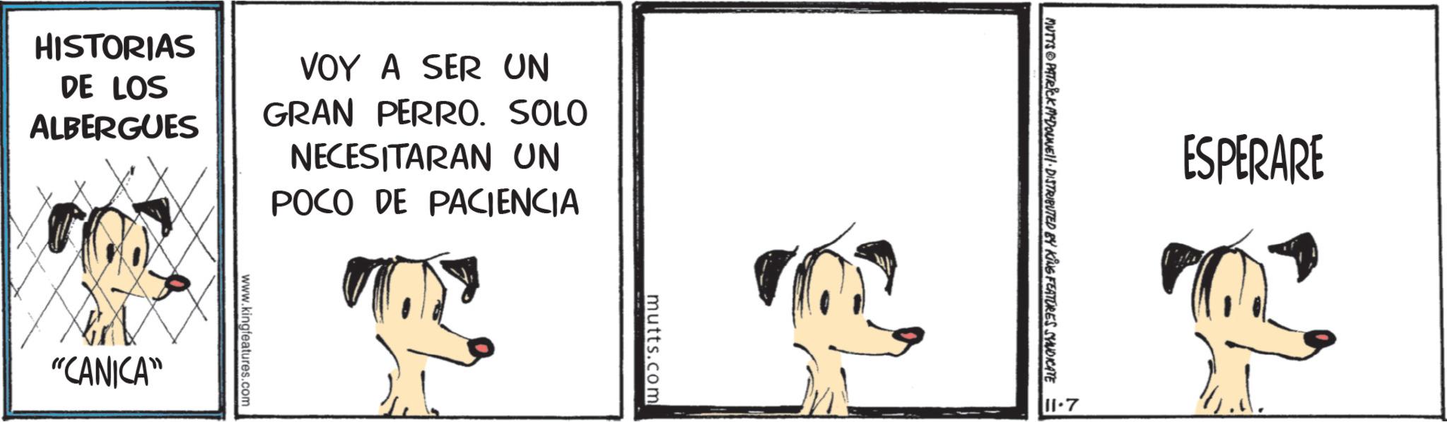 Comics OCR: HISTORIAS DE LOS ALBERGUES VOY A SER UN GRAN PERRO. SOLO NECESITARAN UN POCO DE PACIENCIA www.kingfeatures.com "CANICA" mutts.com ESPERARE 11.7 MUTTS PATRICK MYDOUNEll. DISTRIBUTED BY KING FEATURES SYNDICATE = HISTORIAS DE LOS ALBERGUES VOY A SER UN GRAN PERRO . SOLO NECESITARAN UN POCO DE PACIENCIA www.kingfeatures.com " CANICA " mutts.com ESPERARE 11.7 MUTTS PATRICK MYDOUNEll . DISTRIBUTED BY KING FEATURES SYNDICATE =