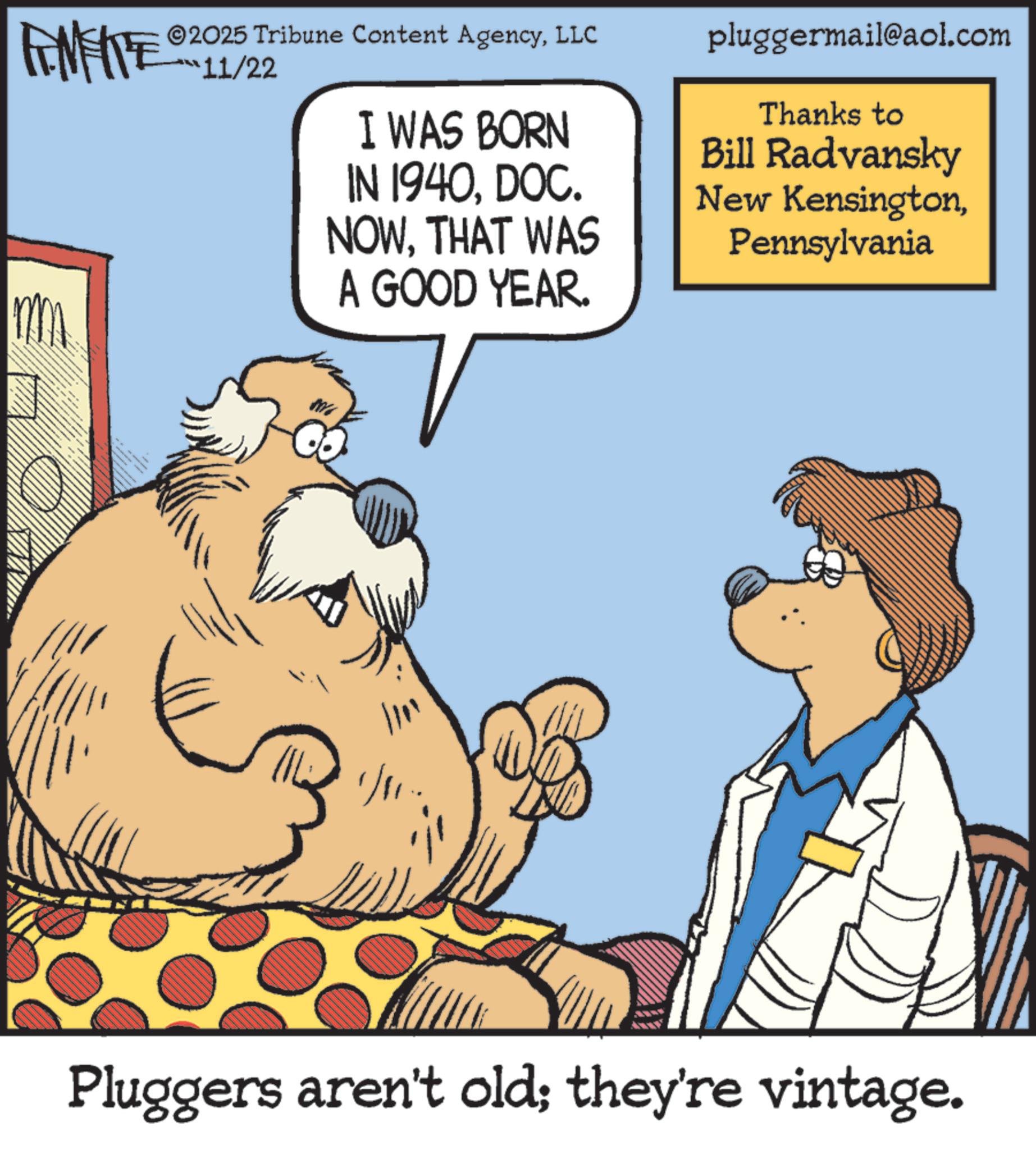 Pluggers - 2025-11-22