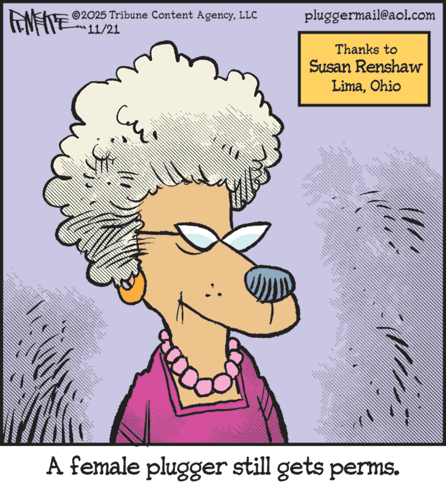 Clip art OCR: FEMEIE ©2025 Tribune Content AgencyLLC 11/21 3. + ?? ??? pluggermail@aol.com Thanks to Susan Renshaw LimaOhio _ " **** ... . *** 3 A female plugger still gets perms. FEMEIE © 2025 Tribune Content AgencyLLC 11/21 3 . + ?? ??? pluggermail@aol.com Thanks to Susan Renshaw LimaOhio _ " **** ... . *** 3 A female plugger still gets perms .