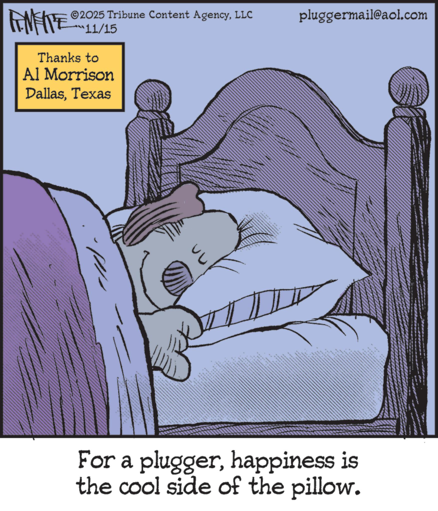 Bed OCR: 2025 Tribune Content AgencyLLC 11/15 Thanks to Al Morrison DallasTexas pluggermail@aol.com For a pluggerhappiness is the cool side of the pillow. 2025 Tribune Content AgencyLLC 11/15 Thanks to Al Morrison DallasTexas pluggermail@aol.com For a pluggerhappiness is the cool side of the pillow .