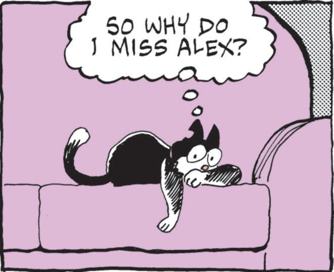 Sleep OCR: SO WHY DO 1 MISS ALEX? SO WHY DO 1 MISS ALEX ?