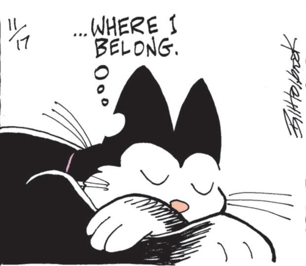 Fictional character OCR: 17 WHERE I BELONG. 0° ???????? 17 WHERE I BELONG . 0 ° ????????