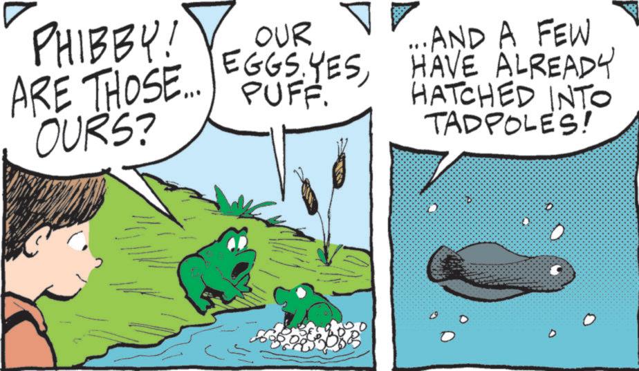 Comics OCR: PHIBBY! OUR EGGS. YESARE THOSE... PUFF. OURS? ... AND A FEW HAVE ALREADY HATCHED INTO TADPOLES! PHIBBY ! OUR EGGS . YESARE THOSE ... PUFF . OURS ? ... AND A FEW HAVE ALREADY HATCHED INTO TADPOLES !