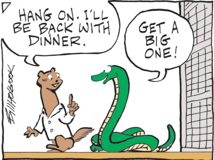 Animated cartoon OCR: ? HANG ON. I'LL BE BACK WITH DINNER. Bill Holbrook GET A BIG ONE! 2 ? HANG ON . I'LL BE BACK WITH DINNER . Bill Holbrook GET A BIG ONE ! 2