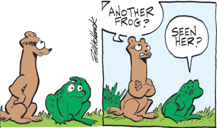 Tail OCR: Biltokbook ANOTHER FROG? 5 ?? SEEN HER? Biltokbook ANOTHER FROG ? 5 ?? SEEN HER ?