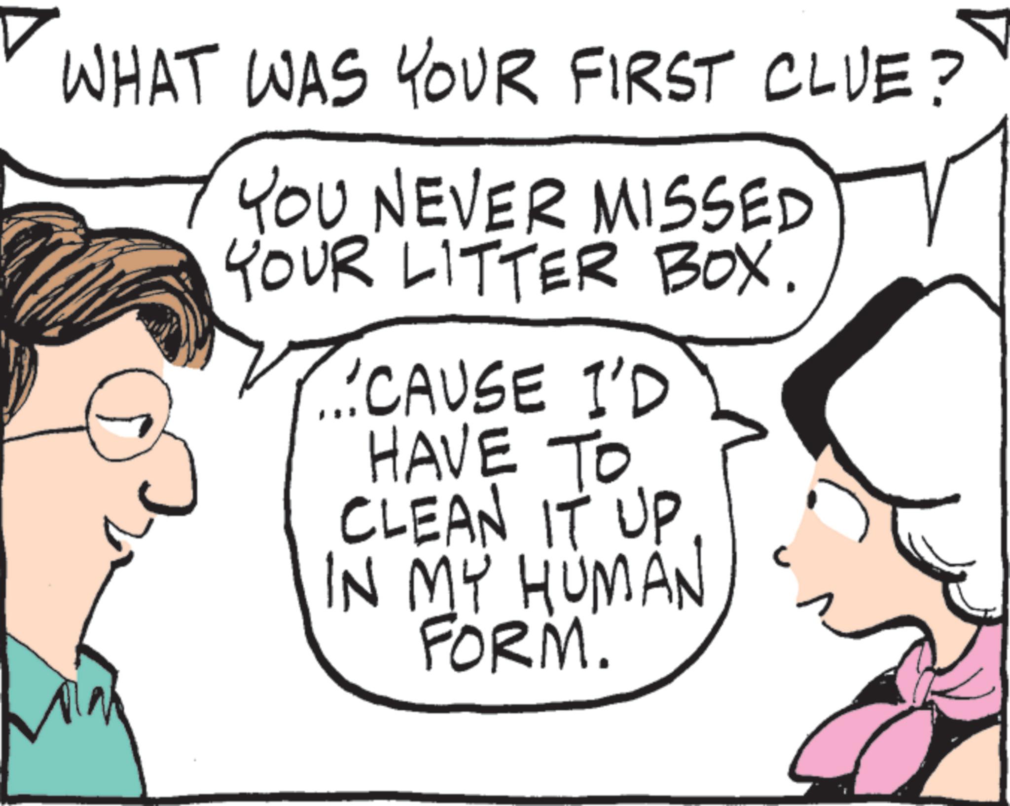 Photo caption OCR: WHAT WAS YOUR FIRST CLUE? YOU NEVER MISSED YOUR LITTER BOX. ...CAUSE I'D HAVE TO CLEAN IT UP IN MY HUMAN FORM. C WHAT WAS YOUR FIRST CLUE ? YOU NEVER MISSED YOUR LITTER BOX . ... CAUSE I'D HAVE TO CLEAN IT UP IN MY HUMAN FORM . C