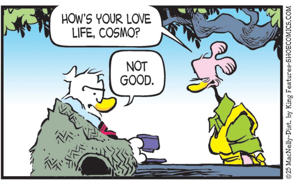 Bird OCR: HOW'S YOUR LOVE LIFECOSMO? NOT GOOD. ©25 MacNelly-Dist. by King Features-SHOECOMICS.COM HOW'S YOUR LOVE LIFECOSMO ? NOT GOOD . © 25 MacNelly - Dist . by King Features-SHOECOMICS.COM