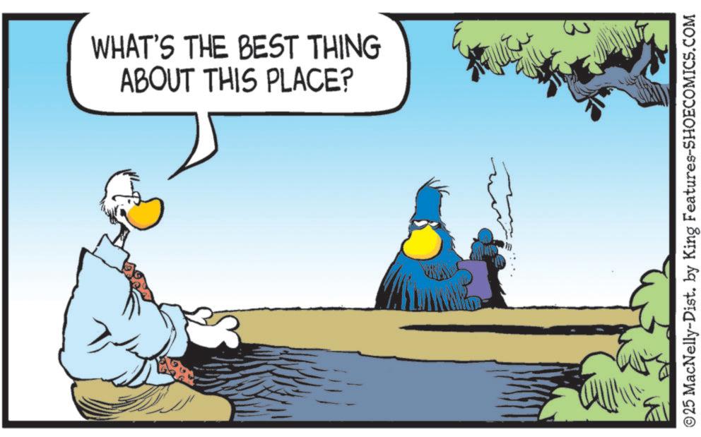 Graphics OCR: WHAT'S THE BEST THING ABOUT THIS PLACE? © 25 MacNelly-Dist. by King Features-SHOECOMICS.COM WHAT'S THE BEST THING ABOUT THIS PLACE ? © 25 MacNelly - Dist . by King Features-SHOECOMICS.COM
