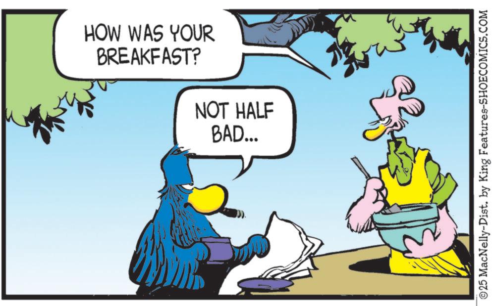 Bird OCR: HOW WAS YOUR BREAKFAST? NOT HALF BAD... ©25 MacNelly-Dist. by King Features-SHOECOMICS.COM HOW WAS YOUR BREAKFAST ? NOT HALF BAD ... © 25 MacNelly - Dist . by King Features-SHOECOMICS.COM