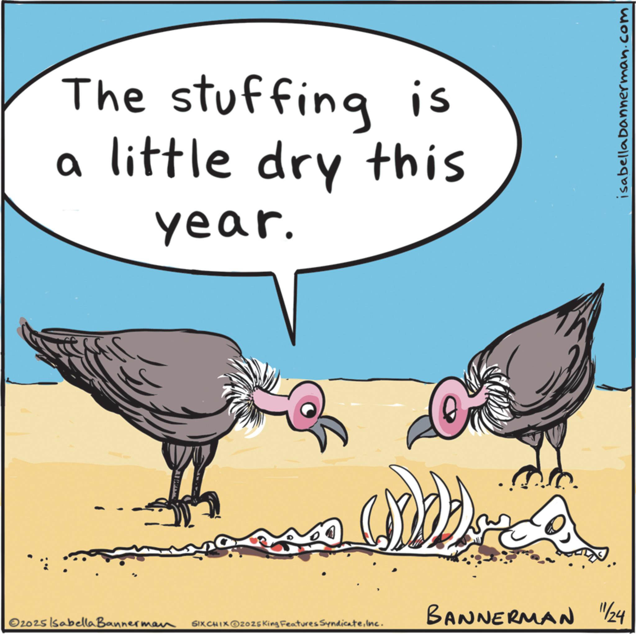 Photo caption OCR: The stuffing is a little dry this year. 2025 Isabella Bannerman SIXCHIXO2025 King Features SyndicateInc. BANNERMAN "1/24 isabellabannerman.com The stuffing is a little dry this year . 2025 Isabella Bannerman SIXCHIXO2025 King Features SyndicateInc. BANNERMAN " 1/24 isabellabannerman.com