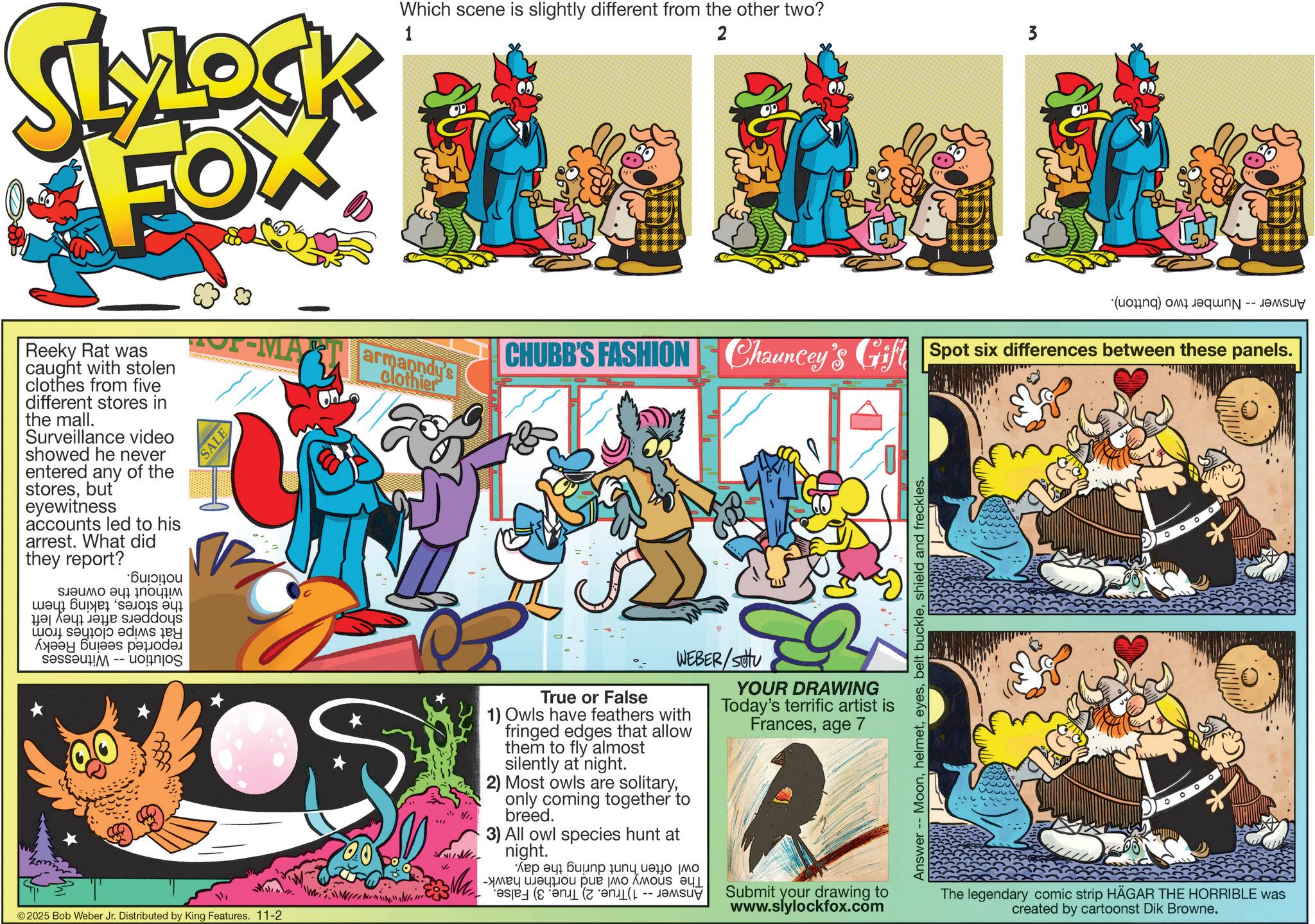 Graphics OCR: SLOCK FOX Which scene is slightly different from the other two? 1 2 3 99 (d) a Reeky Rat was caught with stolen clothes from five different stores in the mall. Surveillance video showed he never entered any of the storesbut eyewitness accounts led to his arrest. What did they report? **OP-MA ·Bu???ou ????? ? ???? ?? ???? ? ? w A to a B -- on SALE ©2025 Bob Weber Jr. Distributed by King Features. 11-2 armanndy's clothier CHUBB'S FASHION Chauncey's Gift Spot six differences between these panels. True or False WEBER/Sotu 1) Owls have feathers with fringed edges that allow them to fly almost silently at night. 2) Most owls are solitaryonly coming together to breed. 3) All owl species hunt at night. ??? ? ????? ???????? ?? -???? ??????? ??? ?? ??? -- ? YOUR DRAWING Today's terrific artist is Francesage 7 Submit your drawing to www.slylockfox.com Answer Moonshield and freckles. The legendary comic strip HÄGAR THE HORRIBLE was created by cartoonst Dik Browne. SLOCK FOX Which scene is slightly different from the other two ? 1 2 3 99 ( d ) a Reeky Rat was caught with stolen clothes from five different stores in the mall . Surveillance video showed he never entered any of the storesbut eyewitness accounts led to his arrest . What did they report ? ** OP - MA · Bu ?? ? ou ????? ? ???? ?? ???? ? ? w A to a B -- on SALE © 2025 Bob Weber Jr. Distributed by King Features . 11-2 armanndy's clothier CHUBB'S FASHION Chauncey's Gift Spot six differences between these panels . True or False WEBER / Sotu 1 ) Owls have feathers with fringed edges that allow them to fly almost silently at night . 2 ) Most owls are solitaryonly coming together to breed . 3 ) All owl species hunt at night . ??? ? ????? ???????? ?? -???? ??????? ??? ?? ??? -- ? YOUR DRAWING Today's terrific artist is Francesage 7 Submit your drawing to www.slylockfox.com Answer Moonbelt buckleshield and freckles . The legendary comic strip HÄGAR THE HORRIBLE was created by cartoonst Dik Browne .