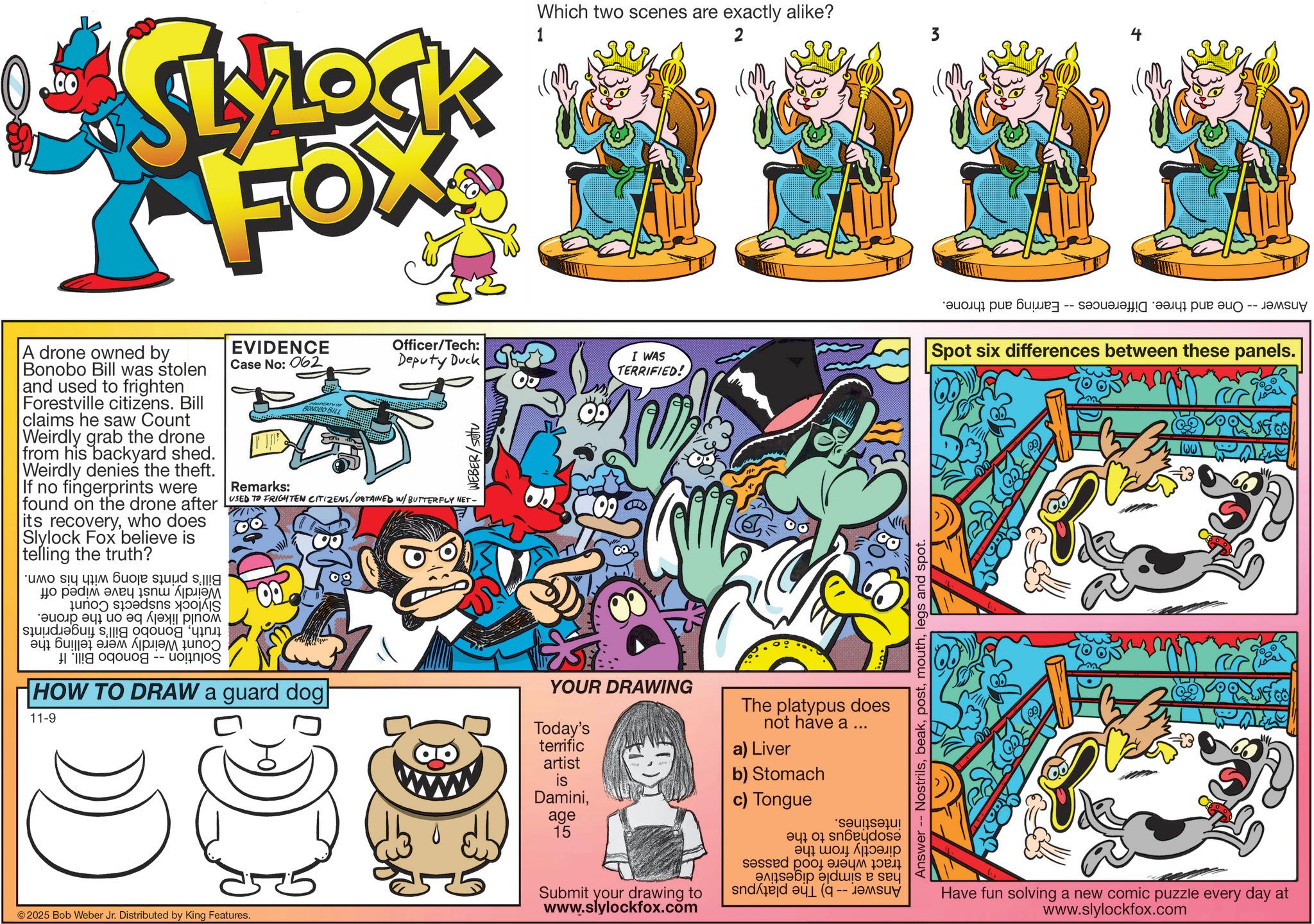 Comic book OCR: SLZOCK FOX 1 Which two scenes are exactly alike? 2 A drone owned by Bonobo Bill was stolen and used to frighten Forestville citizens. Bill claims he saw Count Weirdly grab the drone from his backyard shed. Weirdly denies the theft. If no fingerprints were EVIDENCE Case No: 062 Remarks: BONOBO BILL Officer/Tech: Deputy Duck G I WAS TERRIFIED! WEBER/Sottu found on the drone after USED TO FRIGHTEN CITIZENS/OBTAINED W/BUTTERFLY NET- its recoverywho does Slylock Fox believe is telling the truth? ?? ????? ???? ???? ??? ? ? ??????? ?????? ??? HOW TO DRAW a guard dog 11-9 ©2025 Bob Weber Jr. Distributed by King Features. Answer - Nostrilslegs and spot. 5 YOUR DRAWING Today's terrific artist is Daminiage 15 Submit your drawing to www.slylockfox.com The platypus does a) Liver not have a ... b) Stomach c) Tongue ? ??? ????? s?ssed po????? ??????? ?dwis e sey -- ????? ????? ??? ??! ???? ??? ??? -- ?????? Spot six differences between these panels. wwHave fun solving a new comic puzzle every day at www.slylockfox.com SLZOCK FOX 1 Which two scenes are exactly alike ? 2 A drone owned by Bonobo Bill was stolen and used to frighten Forestville citizens . Bill claims he saw Count Weirdly grab the drone from his backyard shed . Weirdly denies the theft . If no fingerprints were EVIDENCE Case No : 062 Remarks : BONOBO BILL Officer / Tech : Deputy Duck G I WAS TERRIFIED ! WEBER / Sottu found on the drone after USED TO FRIGHTEN CITIZENS / OBTAINED W / BUTTERFLY NET- its recoverywho does Slylock Fox believe is telling the truth ? ?? ????? ???? ???? ??? ? ? ??????? ?????? ??? HOW TO DRAW a guard dog 11-9 © 2025 Bob Weber Jr. Distributed by King Features . Answer - Nostrilslegs and spot . 5 YOUR DRAWING Today's terrific artist is Daminiage 15 Submit your drawing to www.slylockfox.com The platypus does a ) Liver not have a ... b ) Stomach c ) Tongue ? ??? ????? s?ssed po????? ??????? ?dwis e sey -- ????? ????? ??? ?? ! ???? ??? ??? -- ?????? Spot six differences between these panels . ww Have fun solving a new comic puzzle every day at www.slylockfox.com
