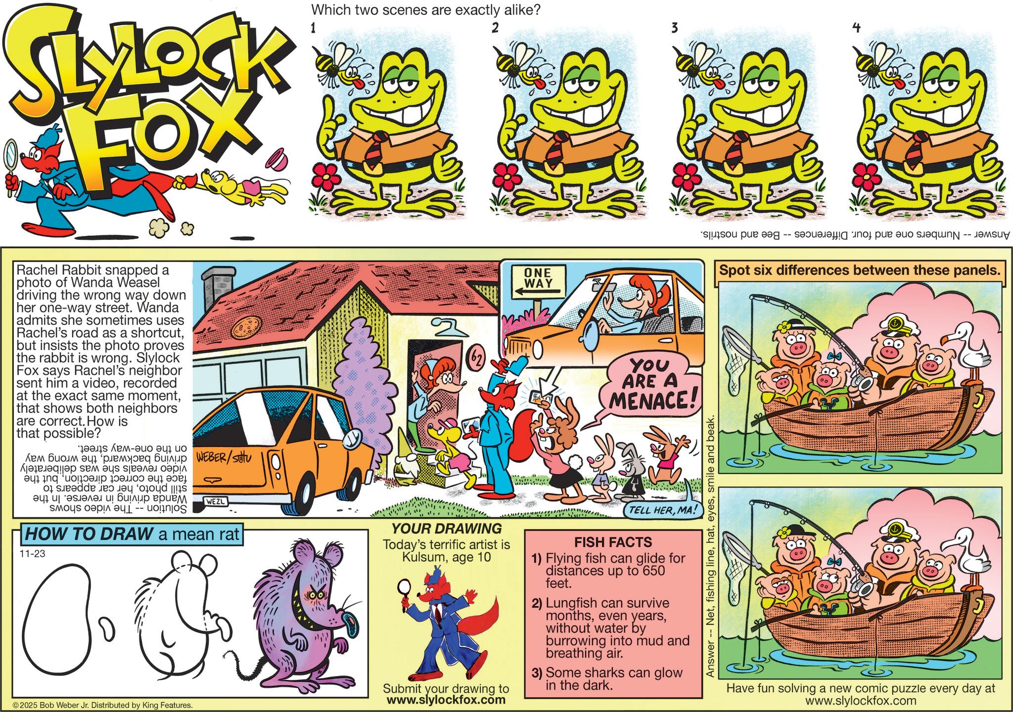 Comic book OCR: Which two scenes are exactly alike? 2 3 SLYLOCK FOX 1 Rachel Rabbit snapped a photo of Wanda Weasel driving the wrong way down her one-way street. Wanda admits she sometimes uses Rachel's road as a shortcutbut insists the photo proves the rabbit is wrong. Slylock Fox says Rachel's neighbor sent him a videorecorded at the exact same momentthat shows both neighbors are correct. How is that possible? ????-??? ?? ?? ??? ????? ???????? ????? WEBER/sotu ????????? ??? ??? ??????? ????? ?? ??? ??? de a s ? ????? ? ????? ????? ????? ????? ??? -- WEZL HOW TO DRAW a mean rat 11-23 O2 © 2025 Bob Weber Jr. Distributed by King Features. YOUR DRAWING Today's terrific artist is Kulsumage 10 Submit your drawing to www.slylockfox.com ONE WAY m YOU ARE A MENACE! TELL HERMA! FISH FACTS 1) Flying fish can glide for distances up to 650 feet. 2) Lungfish can survive monthswithout water by burrowing into mud and breathing air. 3) Some sharks can glow in the dark. Answer -- Netsmile and beak. 4 o per -- a per a Spot six differences between these panels. Have fun solving a new comic puzzle every day at www.slylockfox.com Which two scenes are exactly alike ? 2 3 SLYLOCK FOX 1 Rachel Rabbit snapped a photo of Wanda Weasel driving the wrong way down her one - way street . Wanda admits she sometimes uses Rachel's road as a shortcutbut insists the photo proves the rabbit is wrong . Slylock Fox says Rachel's neighbor sent him a videorecorded at the exact same momentthat shows both neighbors are correct . How is that possible ? ???? - ??? ?? ?? ??? ????? ???????? ????? WEBER / sotu ????????? ??? ??? ??????? ????? ?? ??? ??? de a s ? ????? ? ????? ????? ????? ????? ??? -- WEZL HOW TO DRAW a mean rat 11-23 O2 © 2025 Bob Weber Jr. Distributed by King Features . YOUR DRAWING Today's terrific artist is Kulsumage 10 Submit your drawing to www.slylockfox.com ONE WAY m YOU ARE A MENACE ! TELL HERMA ! FISH FACTS 1 ) Flying fish can glide for distances up to 650 feet . 2 ) Lungfish can survive monthseven yearswithout water by burrowing into mud and breathing air . 3 ) Some sharks can glow in the dark . Answer -- Netfishing linesmile and beak . 4 o per -- a per a Spot six differences between these panels . Have fun solving a new comic puzzle every day at www.slylockfox.com