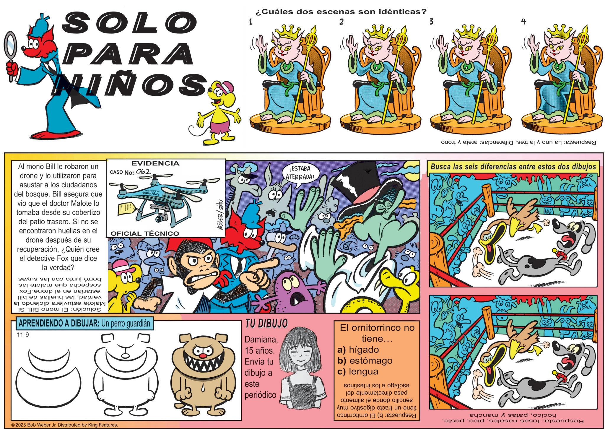 Animated cartoon OCR: SOLO PARA NINOSA Al mono Bill le robaron un drone y lo utilizaron para asustar a los ciudadanos del bosque. Bill asegura que vio que el doctor Malote lo tomaba desde su cobertizo del patio trasero. Si no se encontraron huellas en el drone después de su recuperación¿Quién cree el detective Fox que dice la verdad? EVIDENCIA CASO NO: 062 BONOBO BILL OFICIAL TÉCNICO con las suyas sospecha que malote las estarían en el drone.Fox verdadlas huellas de bill Malote estuviera diciendo la Solución: El mono Bill. Si borró junto WEBER/sottu 1 ¿Cuáles dos escenas son idénticas? 2 3 Respuesta: La uno y la tres. Diferencias: arete y trono ¡ESTABA ATERRADA! Busca las seis diferencias entre estos dos dibujos APRENDIENDO A DIBUJAR: Un perro guardián 11-9 TU DIBUJO Damiana15 años. Envía tu dibujo a este periódico El ornitorrinco no tiene... a) hígado b) estómago c) lengua esófago a los intestinos pasa directamente del sencillo donde el alimento tiene un tracto digestivo muy Respuesta: b) El ornitorrinco ©2025 Bob Weber Jr. Distributed by King Features. hocicopatas y mancha Respuesta: fosas nasalesSOLO PARA NINOSA Al mono Bill le robaron un drone y lo utilizaron para asustar a los ciudadanos del bosque . Bill asegura que vio que el doctor Malote lo tomaba desde su cobertizo del patio trasero . Si no se encontraron huellas en el drone después de su recuperación¿ Quién cree el detective Fox que dice la verdad ? EVIDENCIA CASO NO : 062 BONOBO BILL OFICIAL TÉCNICO con las suyas sospecha que malote las estarían en el drone.Fox verdadlas huellas de bill Malote estuviera diciendo la Solución : El mono Bill . Si borró junto WEBER / sottu 1 ¿ Cuáles dos escenas son idénticas ? 2 3 Respuesta : La uno y la tres . Diferencias : arete y trono ¡ ESTABA ATERRADA ! Busca las seis diferencias entre estos dos dibujos APRENDIENDO A DIBUJAR : Un perro guardián 11-9 TU DIBUJO Damiana15 años . Envía tu dibujo a este periódico El ornitorrinco no tiene ... a ) hígado b ) estómago c ) lengua esófago a los intestinos pasa directamente del sencillo donde el alimento tiene un tracto digestivo muy Respuesta : b ) El ornitorrinco © 2025 Bob Weber Jr. Distributed by King Features . hocicopatas y mancha Respuesta : fosas nasales