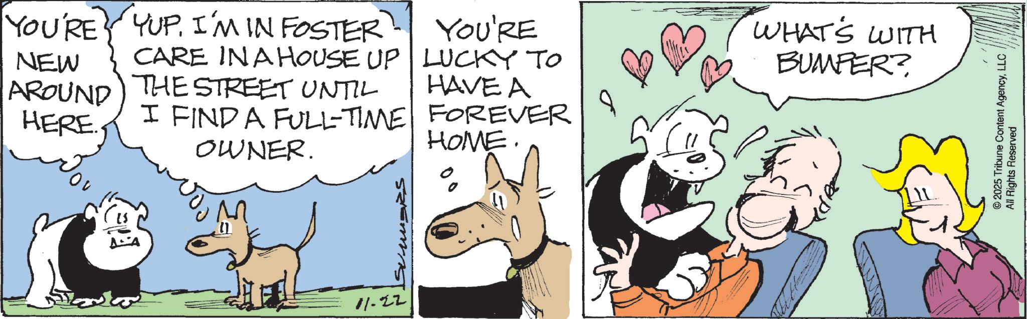 Comic book OCR: NEW AROUND HERE. YOU'RE YUPI'M IN FOSTER CARE IN A HOUSE UP THE STREET UNTIL YOU'RE LUCKY TO HAVE A I FIND A FULL-TIME FOREVER 8 OWNER. HOME. 11-22 WHAT'S WITH BUMPER? ©2025 Tribune Content AgencyLLC All Rights Reserved NEW AROUND HERE . YOU'RE YUPI'M IN FOSTER CARE IN A HOUSE UP THE STREET UNTIL YOU'RE LUCKY TO HAVE A I FIND A FULL - TIME FOREVER 8 OWNER . HOME . 11-22 WHAT'S WITH BUMPER ? © 2025 Tribune Content AgencyLLC All Rights Reserved