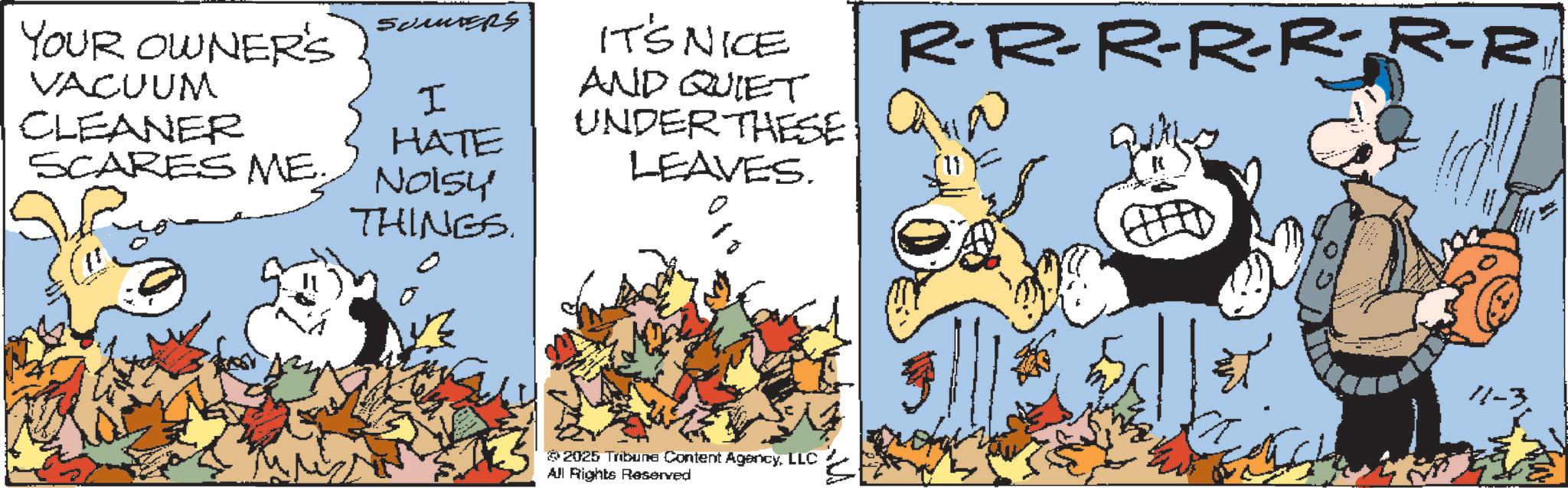 Conversation OCR: R-R-R-R-R-R-R ???????? I IT'S NICE AND QUIET HATE UNDER THESE Camino LEAVES. YOUR OWNER'S VACUUM CLEANER SCARES ME. Noisy THINGS. 2025 Tribune Content AgencyLLC All Rights Reserved 11-3 R - R - R - R - R - R - R ???????? I IT'S NICE AND QUIET HATE UNDER THESE Camino LEAVES . YOUR OWNER'S VACUUM CLEANER SCARES ME . Noisy THINGS . 2025 Tribune Content AgencyLLC All Rights Reserved 11-3