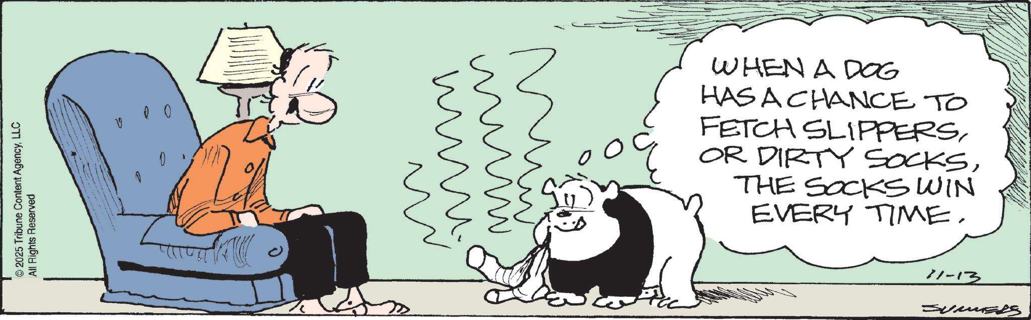 Fiction OCR: © 2025 Tribune Content AgencyLLC All Rights Reserved V 00 WHEN A DOG HAS A CHANCE TO FETCH SLIPPERSTHE SOCKS WIN EVERY TIME. 11-13 © 2025 Tribune Content AgencyLLC All Rights Reserved V 00 WHEN A DOG HAS A CHANCE TO FETCH SLIPPERSOR DIRTY SOCKSTHE SOCKS WIN EVERY TIME . 11-13