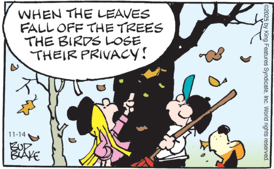 Photo caption OCR: WHEN THE LEAVES FALL OFF THE TREES THE BIRDS LOSE THEIR PRIVACY! 11-14 BUD BLAKE [02025 by King Features SyndicateInc. World rights reserved. WHEN THE LEAVES FALL OFF THE TREES THE BIRDS LOSE THEIR PRIVACY ! 11-14 BUD BLAKE [ 02025 by King Features SyndicateInc. World rights reserved .