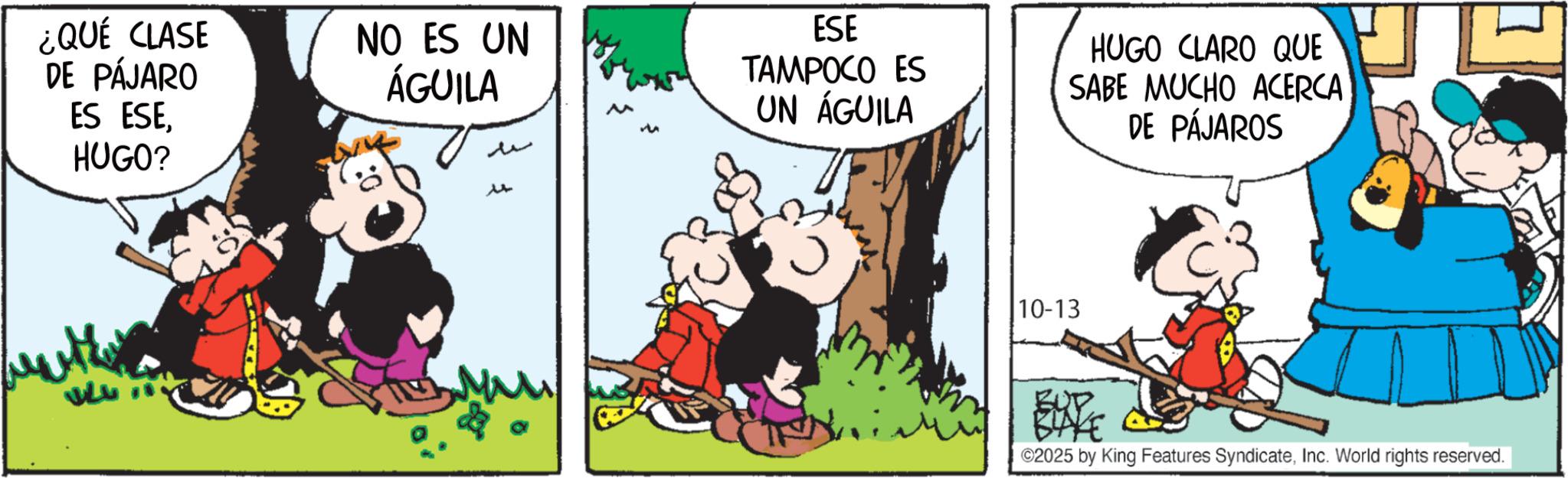 Comic book OCR: ¿QUÉ CLASE DE PÁJARO ES ESEHUGO? NO ES UN ÁGUILA ESE TAMPOCO ES UN ÁGUILA HUGO CLARO QUE SABE MUCHO ACERCA DE PÁJAROS buts M 10-13 BUR ©2025 by King Features SyndicateInc. World rights reserved. ¿ QUÉ CLASE DE PÁJARO ES ESEHUGO ? NO ES UN ÁGUILA ESE TAMPOCO ES UN ÁGUILA HUGO CLARO QUE SABE MUCHO ACERCA DE PÁJAROS buts M 10-13 BUR © 2025 by King Features SyndicateInc. World rights reserved .