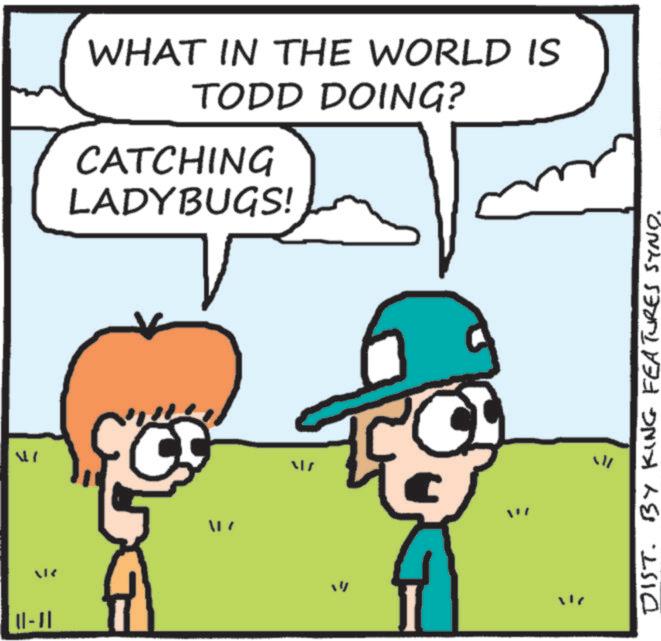 Fictional character OCR: 47 ||-}| WHAT IN THE WORLD IS TODD DOING? CATCHING LADYBUGS! 17 "" W DIST. BY KING FEATURES SYNO. 47 || - } | WHAT IN THE WORLD IS TODD DOING ? CATCHING LADYBUGS ! 17 " " W DIST . BY KING FEATURES SYNO .