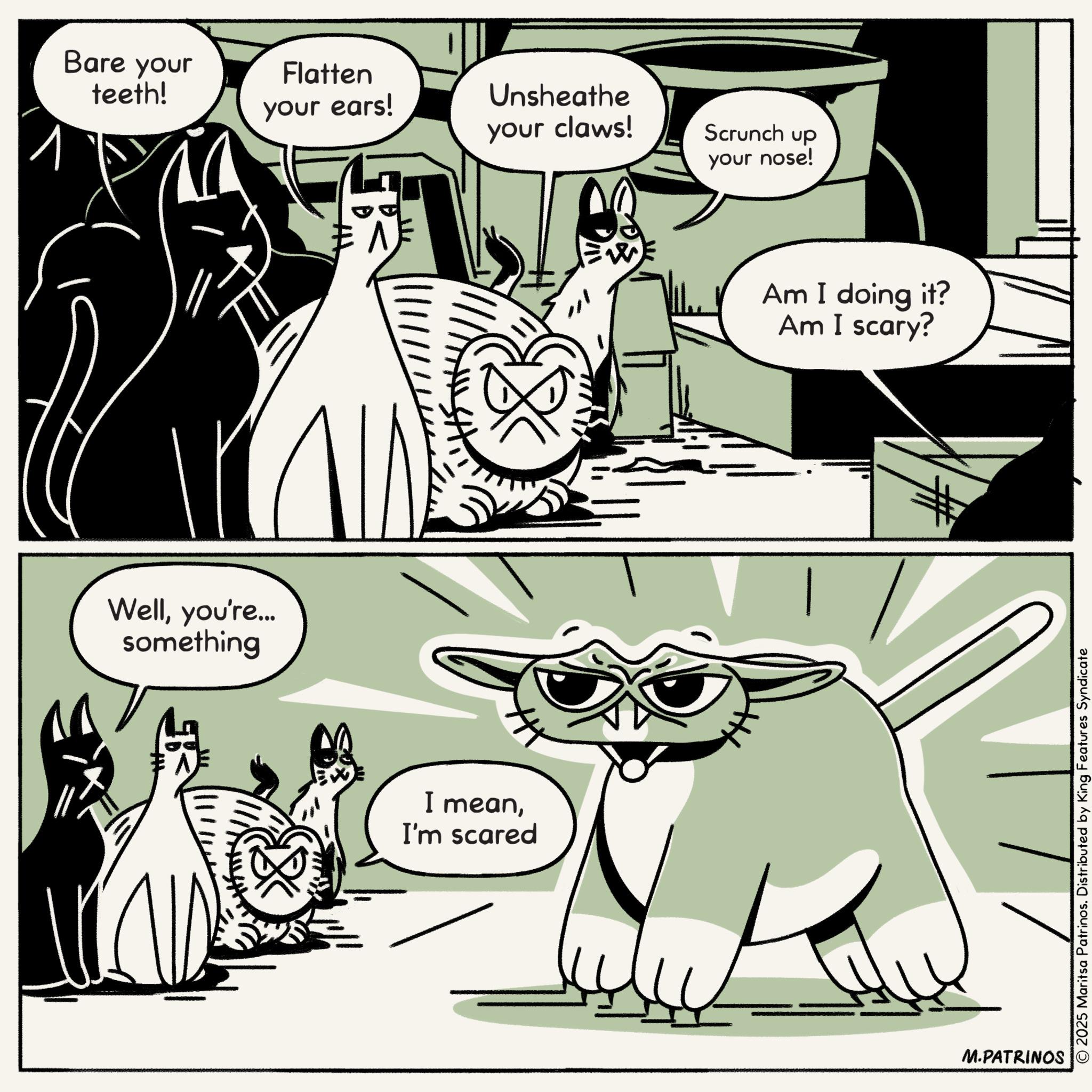 Animation OCR: Bare your teeth! ? Wellyou're... something Flatten your ears! Unsheathe your claws! Scrunch up your nose! I meanI'm scared Am I doing it? Am I scary? M.PATRINOS © 2025 Maritsa Patrinos. Distributed by King Features Syndicate Bare your teeth ! ? Wellyou're ... something Flatten your ears ! Unsheathe your claws ! Scrunch up your nose ! I meanI'm scared Am I doing it ? Am I scary ? M.PATRINOS © 2025 Maritsa Patrinos . Distributed by King Features Syndicate