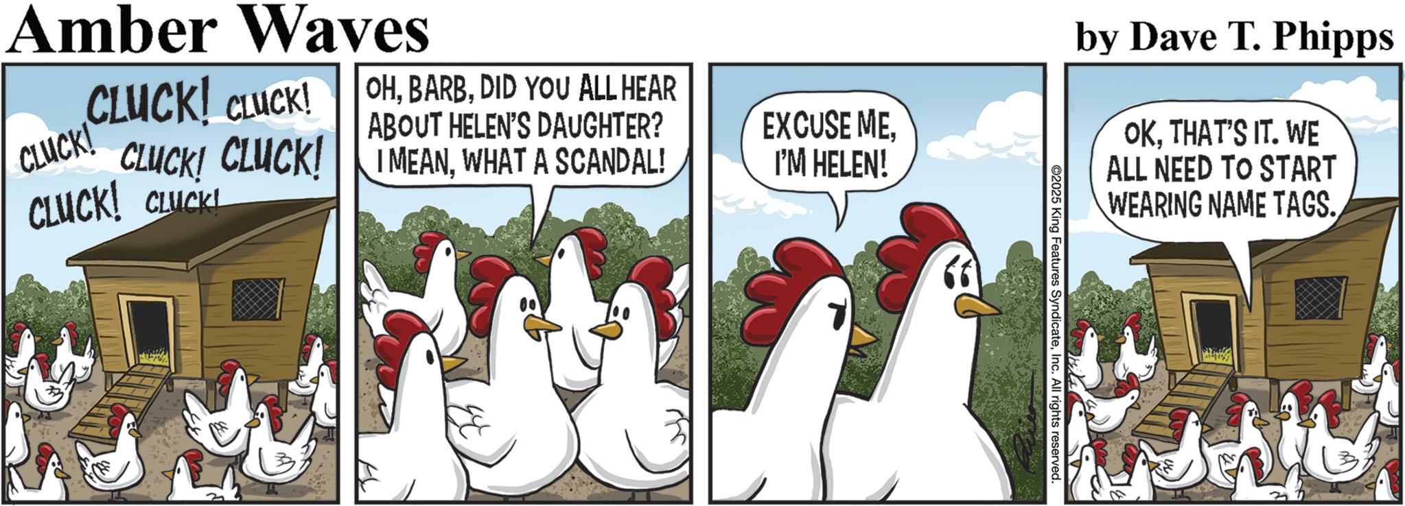 Fictional character OCR: Amber Waves CLUCK! CLUCK! OHDID YOU ALL HEAR CLUCK! CLUCK! CLUCK! I MEANWHAT A SCANDAL! CLUCK! CLUCK! ABOUT HELEN'S DAUGHTER? EXCUSE MEI'M HELEN! by Dave T. Phipps OKTHAT'S IT. WE ALL NEED TO START WEARING NAME TAGS. 2025 King Features SyndicateInc. All rights reserved. Amber Waves CLUCK ! CLUCK ! OHDID YOU ALL HEAR CLUCK ! CLUCK ! CLUCK ! I MEANWHAT A SCANDAL ! CLUCK ! CLUCK ! ABOUT HELEN'S DAUGHTER ? EXCUSE MEI'M HELEN ! by Dave T. Phipps OKTHAT'S IT . WE ALL NEED TO START WEARING NAME TAGS . 2025 King Features SyndicateInc. All rights reserved .
