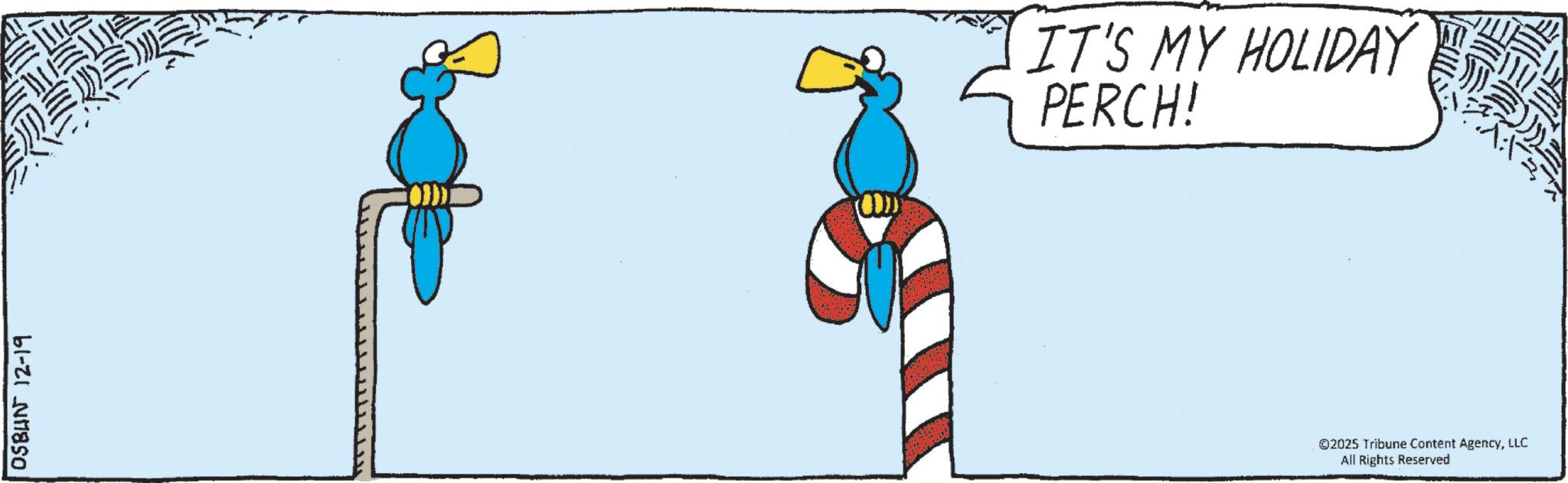 Animation OCR: OSBUN 12-19 IT'S MY HOLIDAY PERCH! ©2025 Tribune Content AgencyLLC All Rights Reserved OSBUN 12-19 IT'S MY HOLIDAY PERCH ! © 2025 Tribune Content AgencyLLC All Rights Reserved