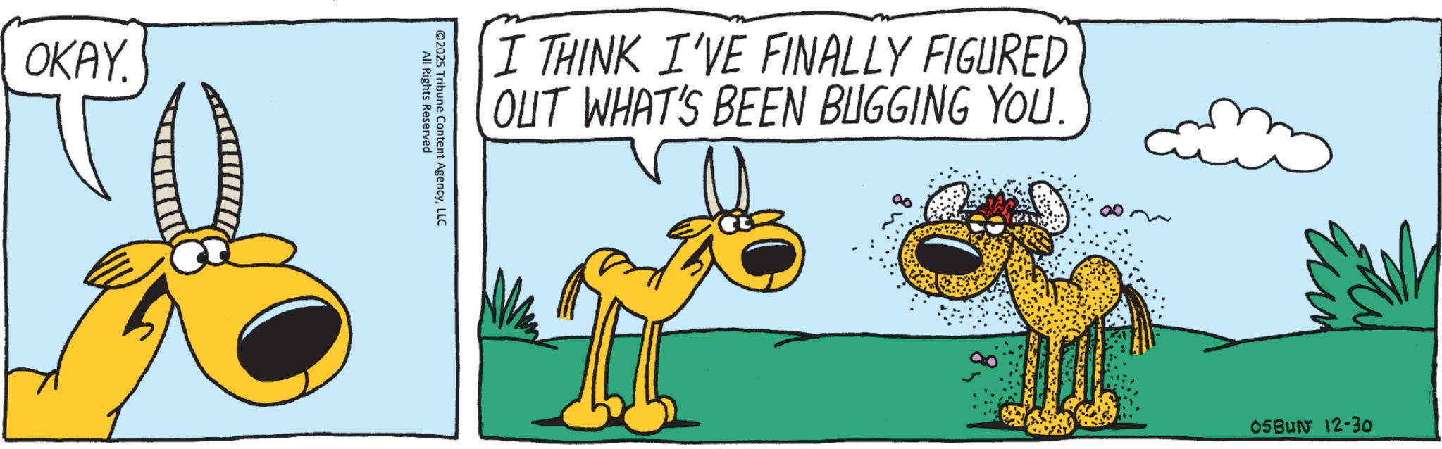 Graphic design OCR: OKAY. I THINK I'VE FINALLY FIGURED OUT WHAT'S BEEN BUGGING YOU. All Rights Reserved ©2025 Tribune Content AgencyLLC 05BUN 12-30 OKAY . I THINK I'VE FINALLY FIGURED OUT WHAT'S BEEN BUGGING YOU . All Rights Reserved © 2025 Tribune Content AgencyLLC 05BUN 12-30