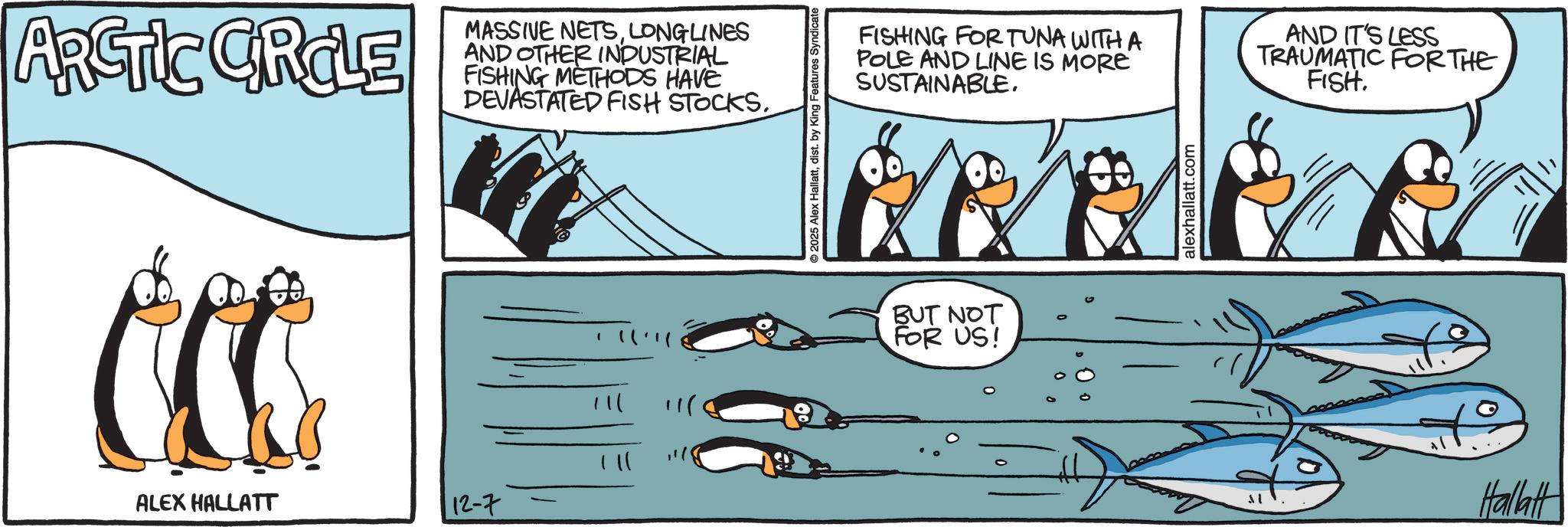 Animation OCR: ARCTIC CROLE CCC ALEX HALLATT MASSIVE NETSLONGLINES AND OTHER INDUSTRIAL FISHING METHODS HAVE DEVASTATED FISH STOCKS. 12-7 !!! 11) 2025 Alex Hallattdist. by King Features Syndicate FISHING FOR TUNA WITH A POLE AND LINE IS MORE SUSTAINABLE. AND IT'S LESS TRAUMATIC FOR THE FISH. BUT NOT FOR US! alexhallatt.com Hallatt ARCTIC CROLE CCC ALEX HALLATT MASSIVE NETSLONGLINES AND OTHER INDUSTRIAL FISHING METHODS HAVE DEVASTATED FISH STOCKS . 12-7 !!! 11 ) 2025 Alex Hallattdist . by King Features Syndicate FISHING FOR TUNA WITH A POLE AND LINE IS MORE SUSTAINABLE . AND IT'S LESS TRAUMATIC FOR THE FISH . BUT NOT FOR US ! alexhallatt.com Hallatt