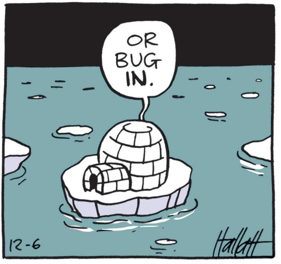Snow OCR: OR BUG IN. 0 0 12-6 Hallall OR BUG IN . 0 0 12-6 Hallall