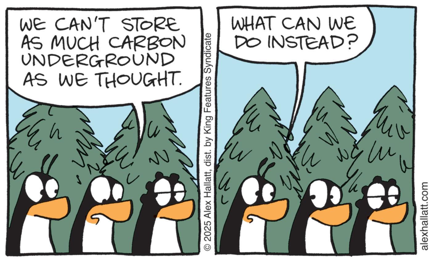 Flightless bird OCR: WE CAN'T STORE AS MUCH CARBON UNDERGROUND AS WE THOUGHT. ? # 3 O 2025 Alex Hallattdist. by King Features Syndicate WHAT CAN WE DO INSTEAD? ? alexhallatt.com WE CAN'T STORE AS MUCH CARBON UNDERGROUND AS WE THOUGHT . ? # 3 O 2025 Alex Hallattdist . by King Features Syndicate WHAT CAN WE DO INSTEAD ? ? alexhallatt.com