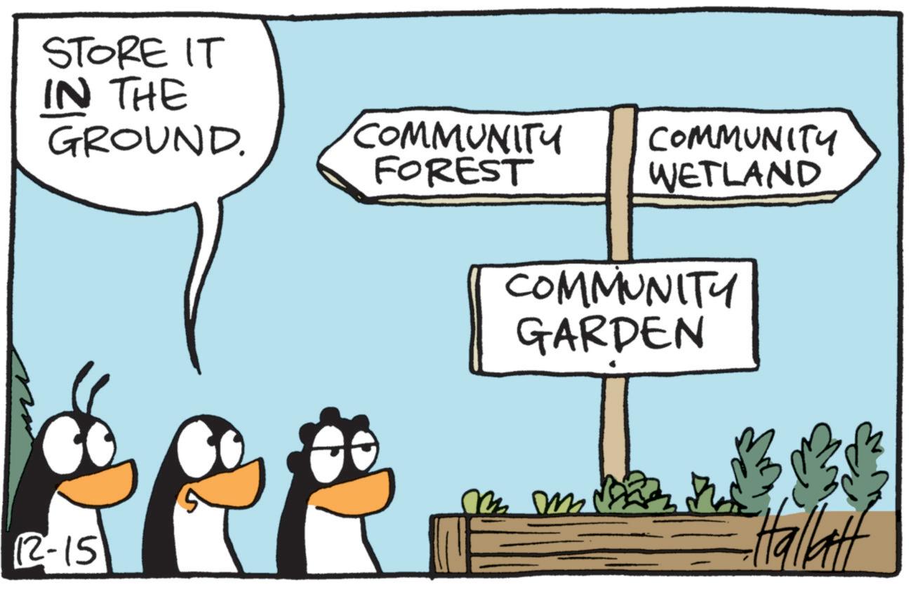 OCR: STORE IT IN THE GROUND. COMMUNITY COMMUNITY FOREST WETLAND COMMUNITY GARDEN 12-15 Hallatt STORE IT IN THE GROUND . COMMUNITY COMMUNITY FOREST WETLAND COMMUNITY GARDEN 12-15 Hallatt
