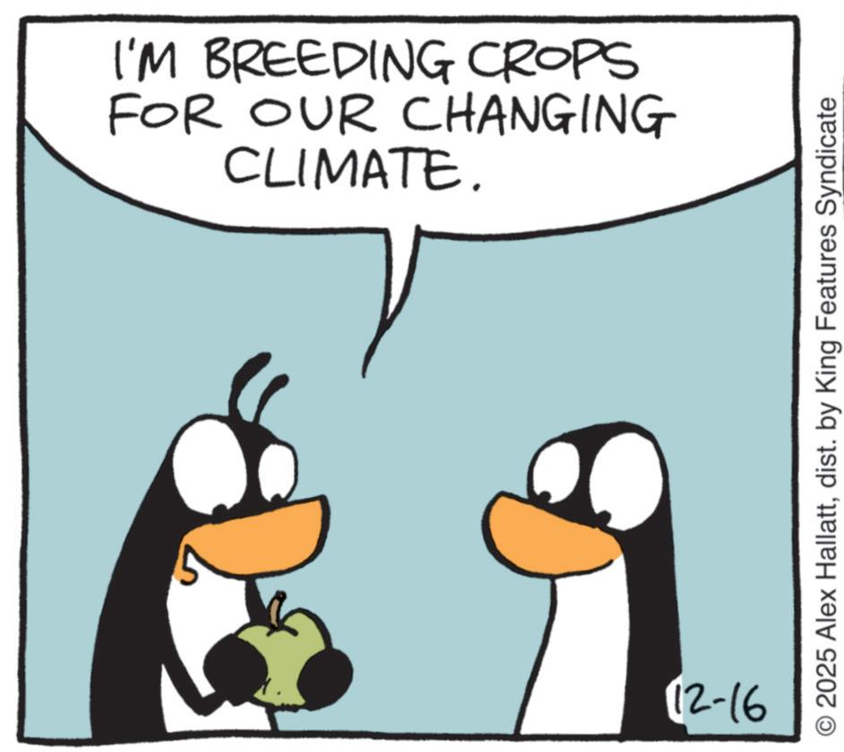 Graphics OCR: I'M BREEDING CROPS FOR OUR CHANGING CLIMATE. 12-16 2025 Alex Hallattdist. by King Features Syndicate I'M BREEDING CROPS FOR OUR CHANGING CLIMATE . 12-16 2025 Alex Hallattdist . by King Features Syndicate
