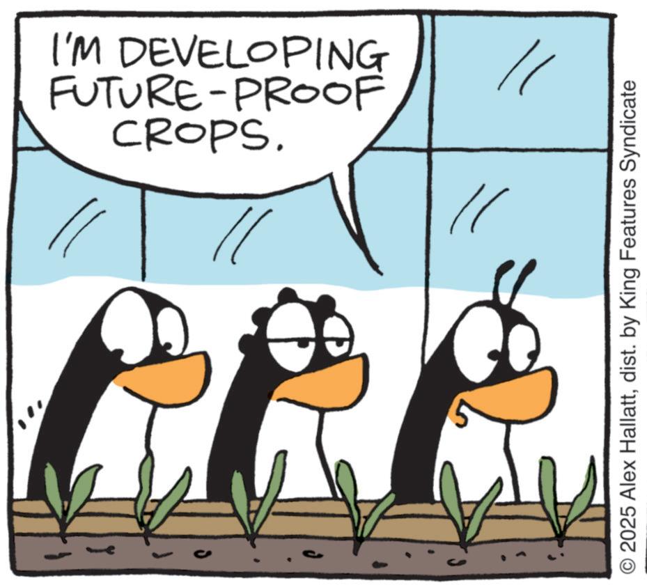Fiction OCR: CROPS. FUTURE-PROOF I'M DEVELOPING ? ? © 2025 Alex Hallattdist. by King Features Syndicate CROPS . FUTURE - PROOF I'M DEVELOPING ? ? © 2025 Alex Hallattdist . by King Features Syndicate