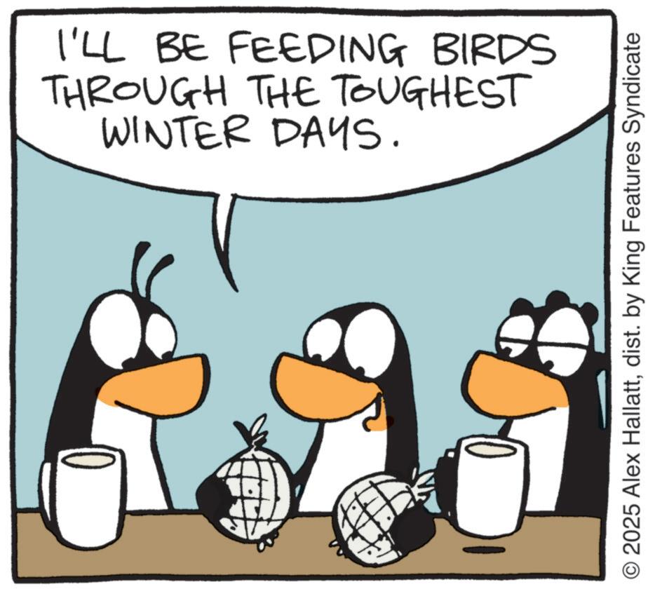 Photo caption OCR: I'LL BE FEEDING BIRDS THROUGH THE TOUGHEST WINTER DAYS. 18 © 2025 Alex Hallattdist. by King Features Syndicate I'LL BE FEEDING BIRDS THROUGH THE TOUGHEST WINTER DAYS . 18 © 2025 Alex Hallattdist . by King Features Syndicate