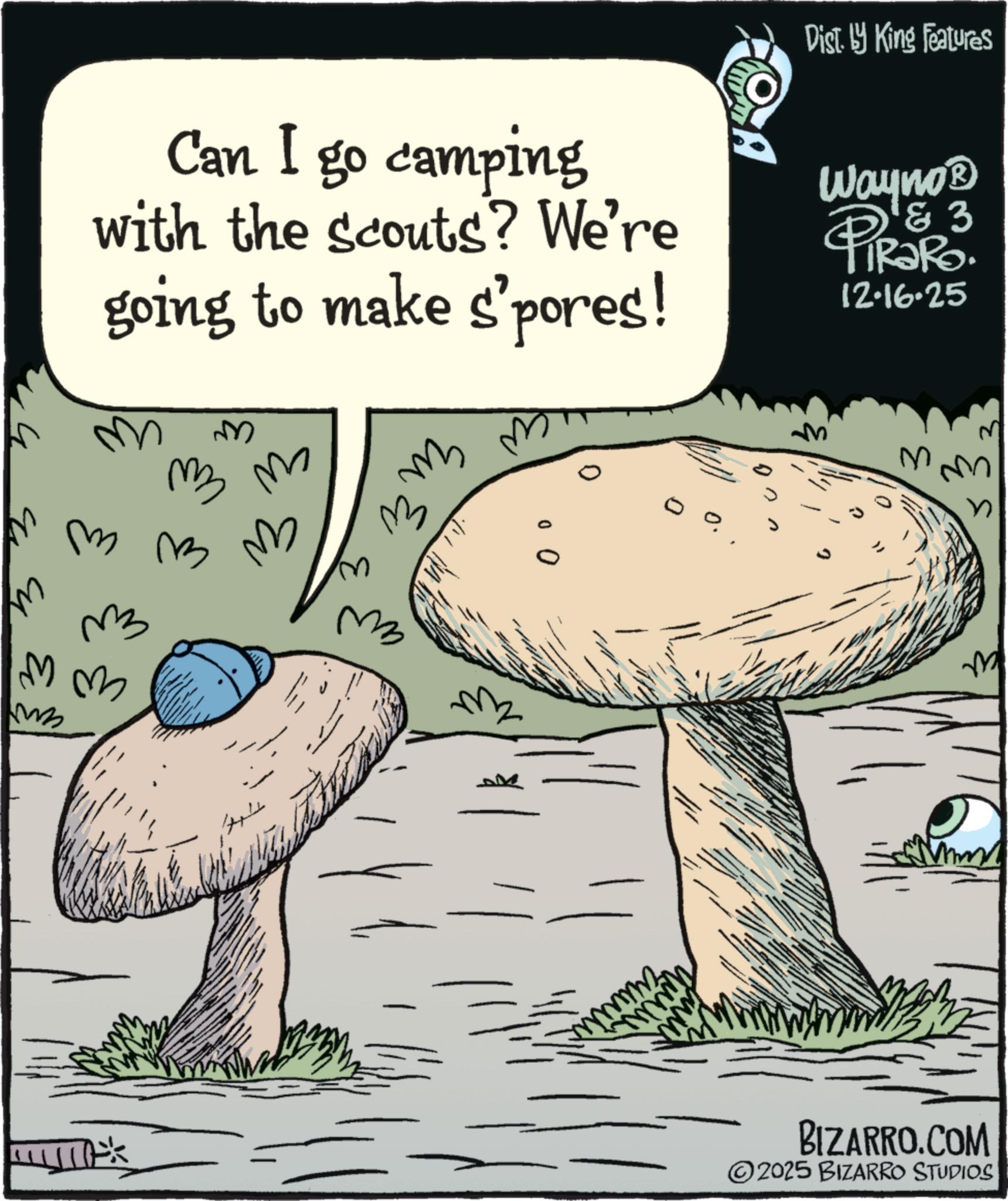 Animation OCR: Dist. by King Features Can I go camping with the scouts? We're going to make s'pores! Wayno? & 3 PiRaRo 12.16.25 m m M ?? ?? ? ? ? ? ??? Mm M ? : ? ? ? ? ( 12? 3 Eu Eu ?? 0 0 mmm M M M BIZARRO.COM 2025 BIZARRO STUDIOS Dist . by King Features Can I go camping with the scouts ? We're going to make s'pores ! Wayno? & 3 PiRaRo 12.16.25 m m M ?? ?? ? ? ? ? ??? Mm M ? : ? ? ? ? ( 12 ? 3 Eu Eu ?? 0 0 mmm M M M BIZARRO.COM 2025 BIZARRO STUDIOS