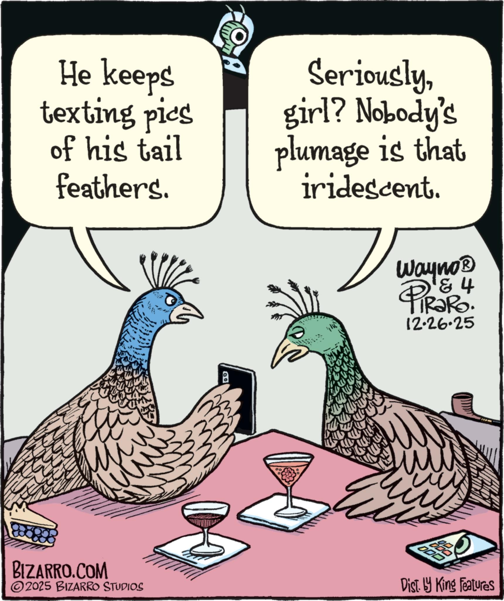 Fowl OCR: He keeps texting pics of his tail feathers. A Seriouslygirl? Nobody's plumage is that iridescent. a 0 Wayno? 4 PiRaRo 12.26.25 im ? BIZARRO.COM 2025 BIZARRO STUDIOS Dist. by King Features He keeps texting pics of his tail feathers . A Seriouslygirl ? Nobody's plumage is that iridescent . a 0 Wayno? 4 PiRaRo 12.26.25 im ? BIZARRO.COM 2025 BIZARRO STUDIOS Dist . by King Features