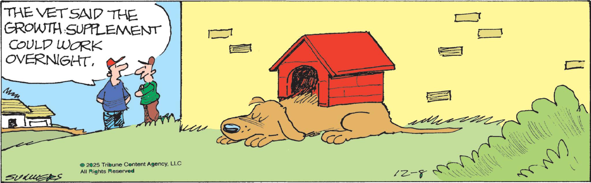 Working animal OCR: THE VET SAID THE GROWTH SUPPLEMENT COULD WORK OVERNIGHT. SUMMERS © 2025 Tribune Content AgencyLLC All Rights Reserved 12-8 mm m THE VET SAID THE GROWTH SUPPLEMENT COULD WORK OVERNIGHT . SUMMERS © 2025 Tribune Content AgencyLLC All Rights Reserved 12-8 mm m