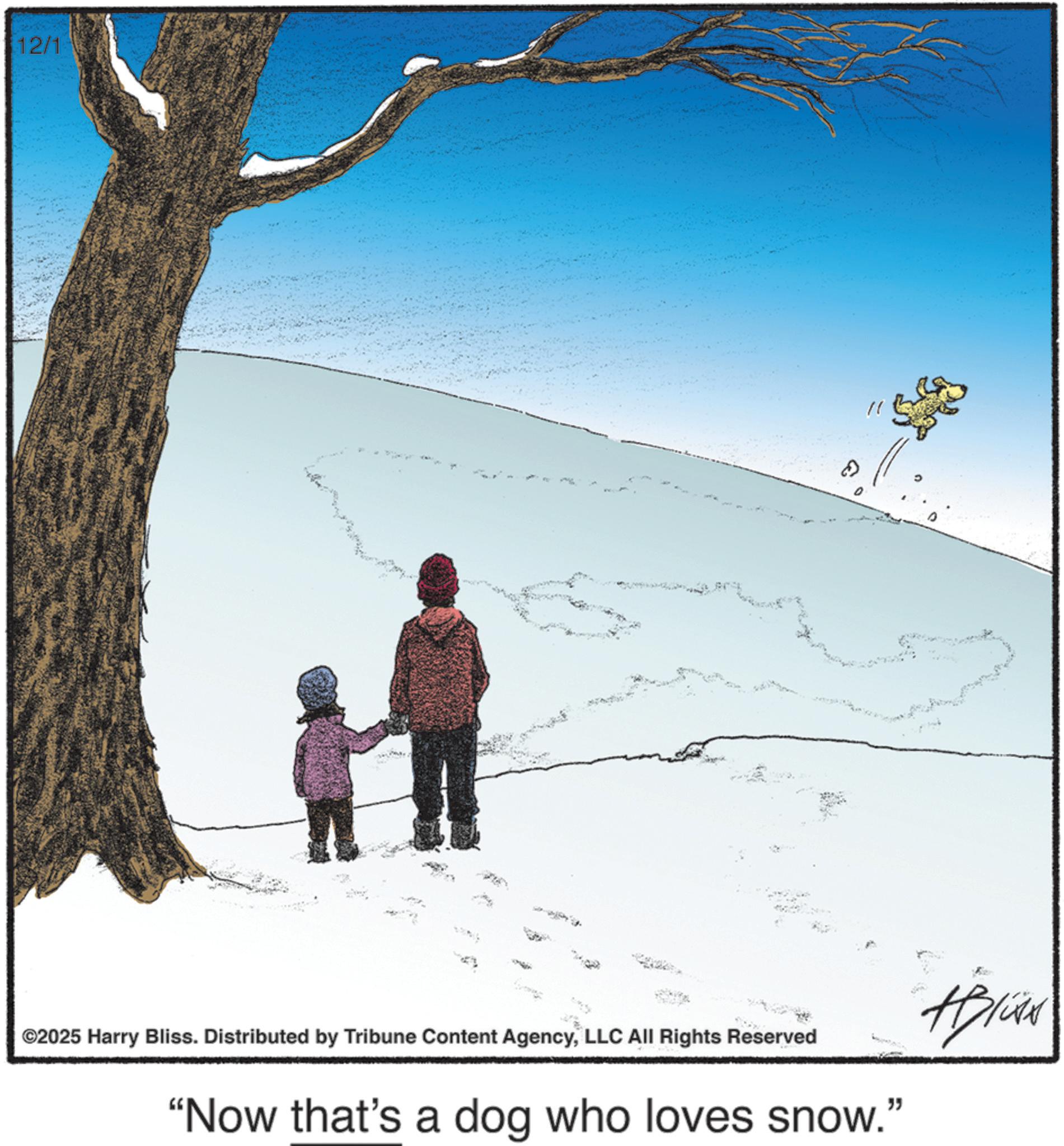 Ice OCR: 12/1 ©2025 Harry Bliss. Distributed by Tribune Content AgencyLLC All Rights Reserved "Now that's a dog who loves snow." Aplian 12/1 © 2025 Harry Bliss . Distributed by Tribune Content AgencyLLC All Rights Reserved " Now that's a dog who loves snow . " Aplian