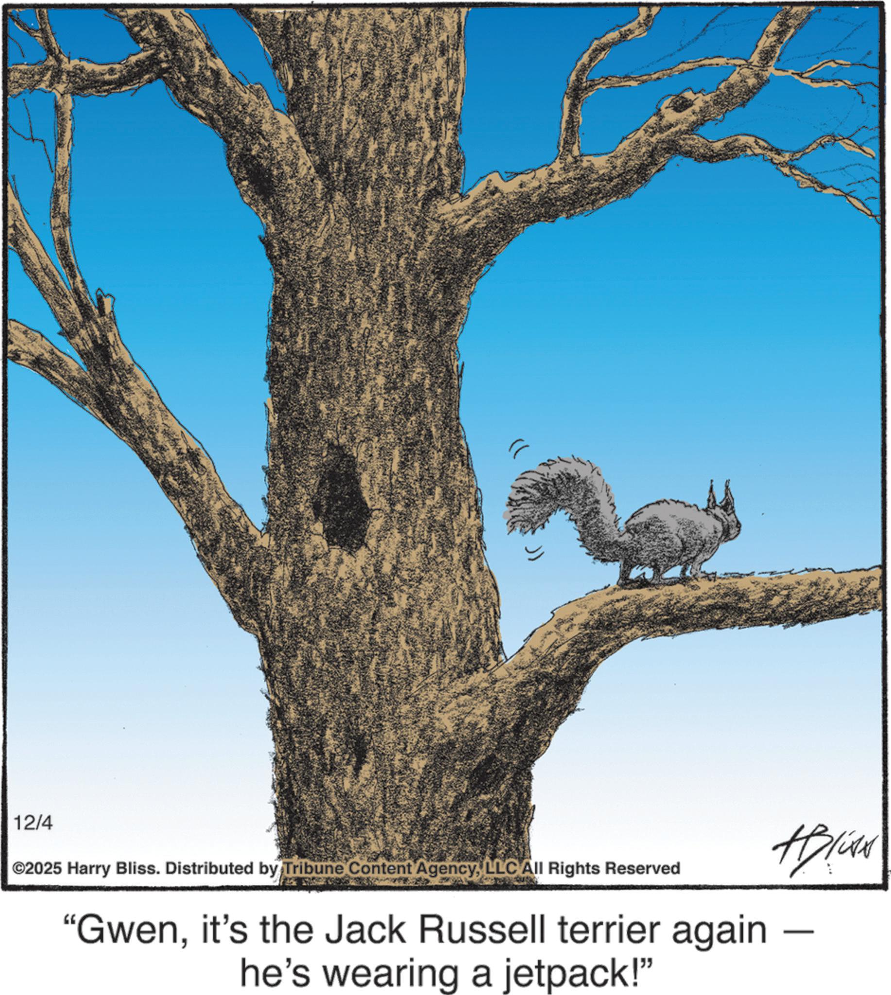 Tail OCR: 12/4 ©2025 Harry Bliss. Distributed by Tribune Content AgencyLLC All Rights Reserved "Gwenit's the Jack Russell terrier again he's wearing a jetpack!" HBION — 12/4 © 2025 Harry Bliss . Distributed by Tribune Content AgencyLLC All Rights Reserved " Gwenit's the Jack Russell terrier again he's wearing a jetpack ! " HBION —
