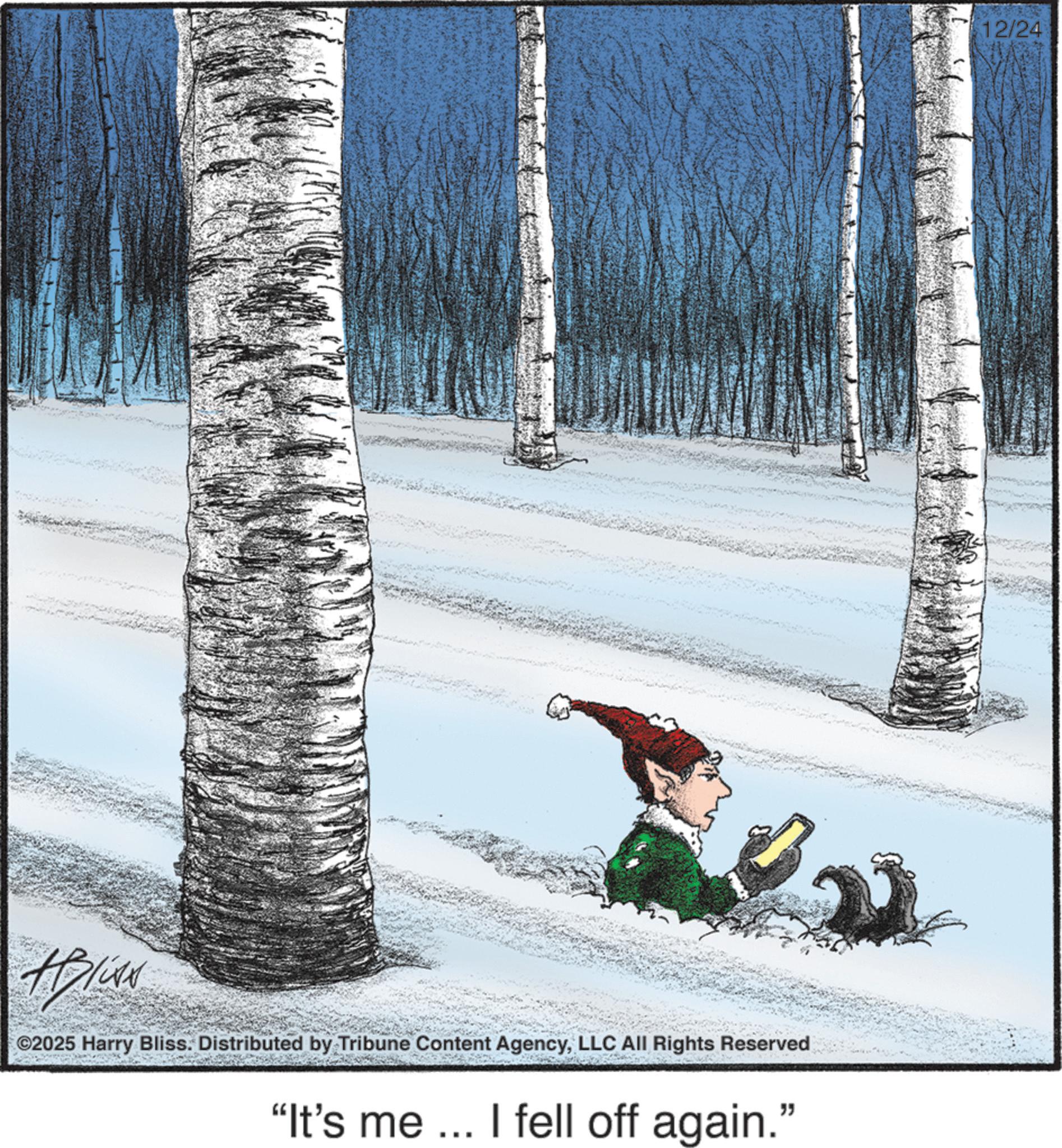 Animated cartoon OCR: #Bli ©2025 Harry Bliss. Distributed by Tribune Content AgencyLLC All Rights Reserved "It's me... I fell off again." 12/24 #Bli © 2025 Harry Bliss . Distributed by Tribune Content AgencyLLC All Rights Reserved " It's me ... I fell off again . " 12/24