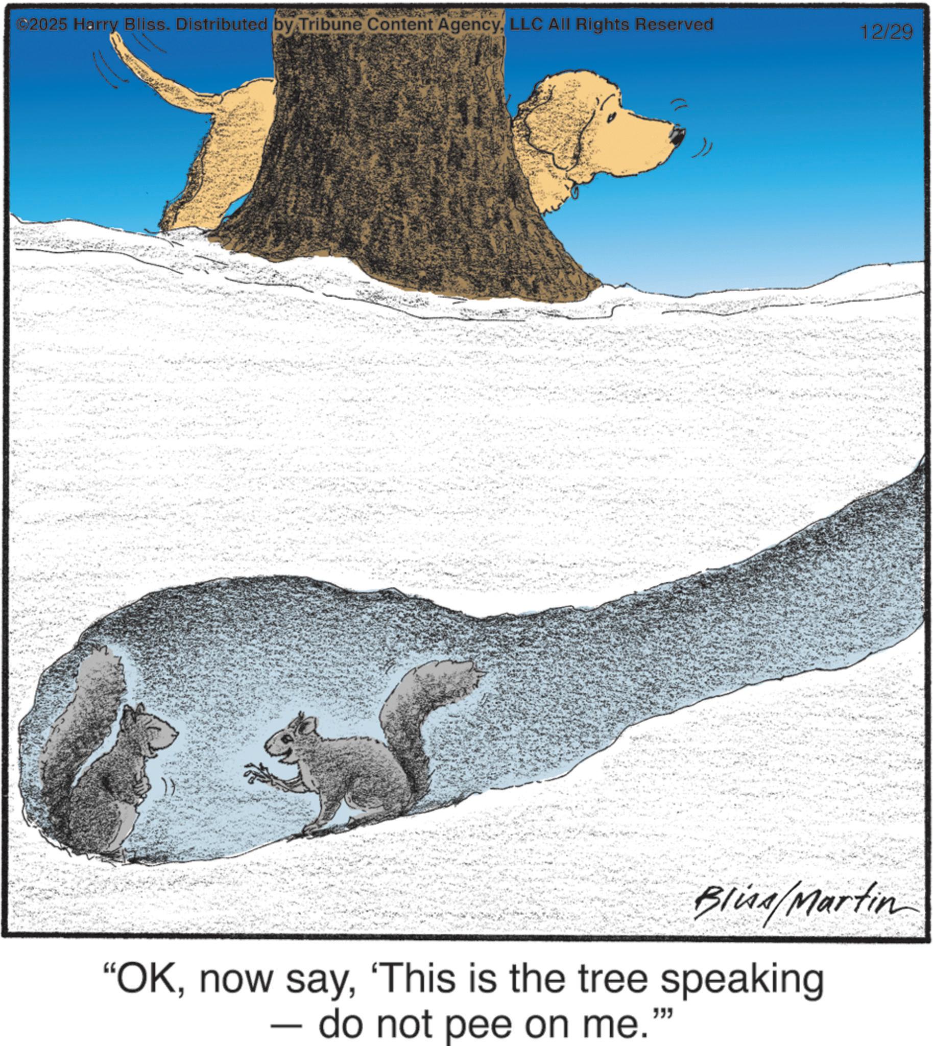 Mustelids OCR: ©2025 Harry Bliss. Distributed by Tribune Content AgencyLLC All Rights Reserved 12/29 Blins/Martin "OK'This is the tree speaking do not pee on me." © 2025 Harry Bliss . Distributed by Tribune Content AgencyLLC All Rights Reserved 12/29 Blins / Martin " OKnow say' This is the tree speaking do not pee on me . "