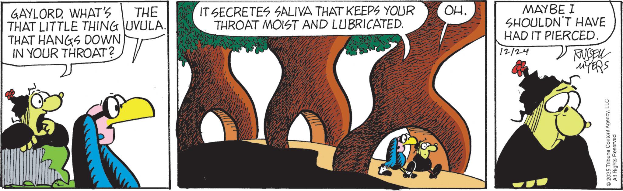 Fictional character OCR: GAYLORDWHAT'S THE THAT LITTLE THING UVULA. IT SECRETES SALIVA THAT KEEPS YOUR THROAT MOIST AND LUBRICATED. THAT HANGS DOWN IN YOUR THROAT? ??. MAYBE I SHOULDN'T HAVE HAD IT PIERCED. 12/24 RUSSELL MYERS 2025 Tribune Content AgencyLLC All Rights Reserved GAYLORDWHAT'S THE THAT LITTLE THING UVULA . IT SECRETES SALIVA THAT KEEPS YOUR THROAT MOIST AND LUBRICATED . THAT HANGS DOWN IN YOUR THROAT ? ?? . MAYBE I SHOULDN'T HAVE HAD IT PIERCED . 12/24 RUSSELL MYERS 2025 Tribune Content AgencyLLC All Rights Reserved