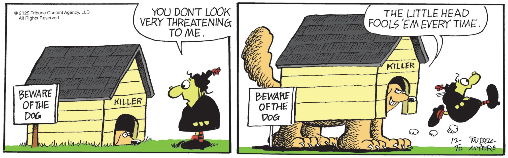 Graphics OCR: 2025 Tribune Content AgencyLLC All Rights Reserved YOU DON'T LOOK VERY THREATENING TO ME. BEWARE OF THE DOG KILLER un BEWARE OF THE DOG THE LITTLE HEAD FOOLS EM EVERY TIME. KILLER 12 TWUSSELL TO MYERS 2025 Tribune Content AgencyLLC All Rights Reserved YOU DON'T LOOK VERY THREATENING TO ME . BEWARE OF THE DOG KILLER un BEWARE OF THE DOG THE LITTLE HEAD FOOLS EM EVERY TIME . KILLER 12 TWUSSELL TO MYERS
