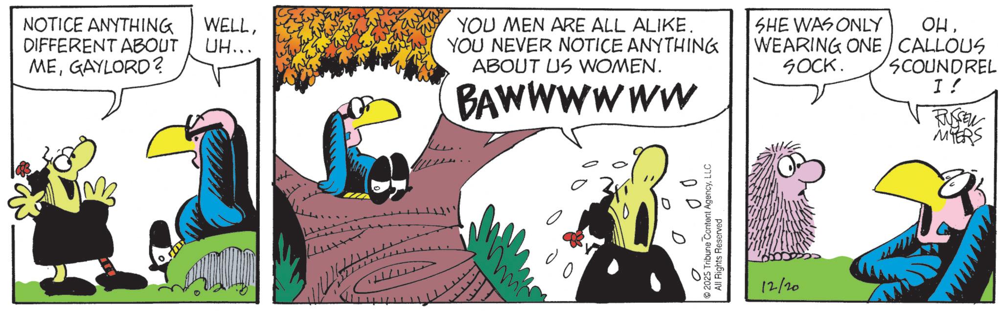 Comics OCR: NOTICE ANYTHING DIFFERENT ABOUT MEGAYLORD? WELLUH... YOU MEN ARE ALL ALIKE. YOU NEVER NOTICE ANYTHING ABOUT US WOMEN. BAWWwwww ? ?? 2025 Tribune Content AgencyLLC All Rights Reserved SHE WAS ONLY ??WEARING ONE CALLOUS 12/20 SOCK. SCOUNDREL I ! RUSSEN MYERS NOTICE ANYTHING DIFFERENT ABOUT MEGAYLORD ? WELLUH ... YOU MEN ARE ALL ALIKE . YOU NEVER NOTICE ANYTHING ABOUT US WOMEN . BAWWwwww ? ?? 2025 Tribune Content AgencyLLC All Rights Reserved SHE WAS ONLY ??WEARING ONE CALLOUS 12/20 SOCK . SCOUNDREL I ! RUSSEN MYERS