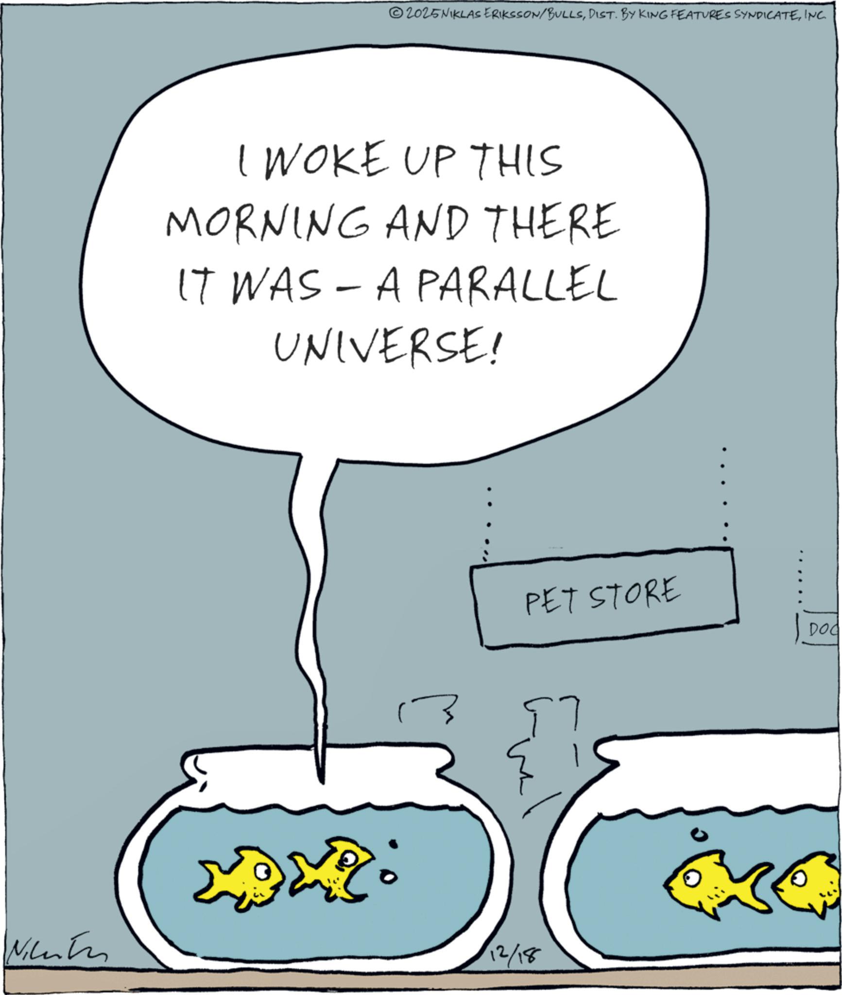 Animation OCR: 2025NIKLAS ERIKSSON/BULLSINC. I WOKE UP THIS MORNING AND THERE IT WAS A PARALLEL - UNIVERSE! Nicente 12/18 PET STORE 97 DOC 2025NIKLAS ERIKSSON / BULLSDIST . BY KING FEATURES SYNDICATEINC . I WOKE UP THIS MORNING AND THERE IT WAS A PARALLEL - UNIVERSE ! Nicente 12/18 PET STORE 97 DOC