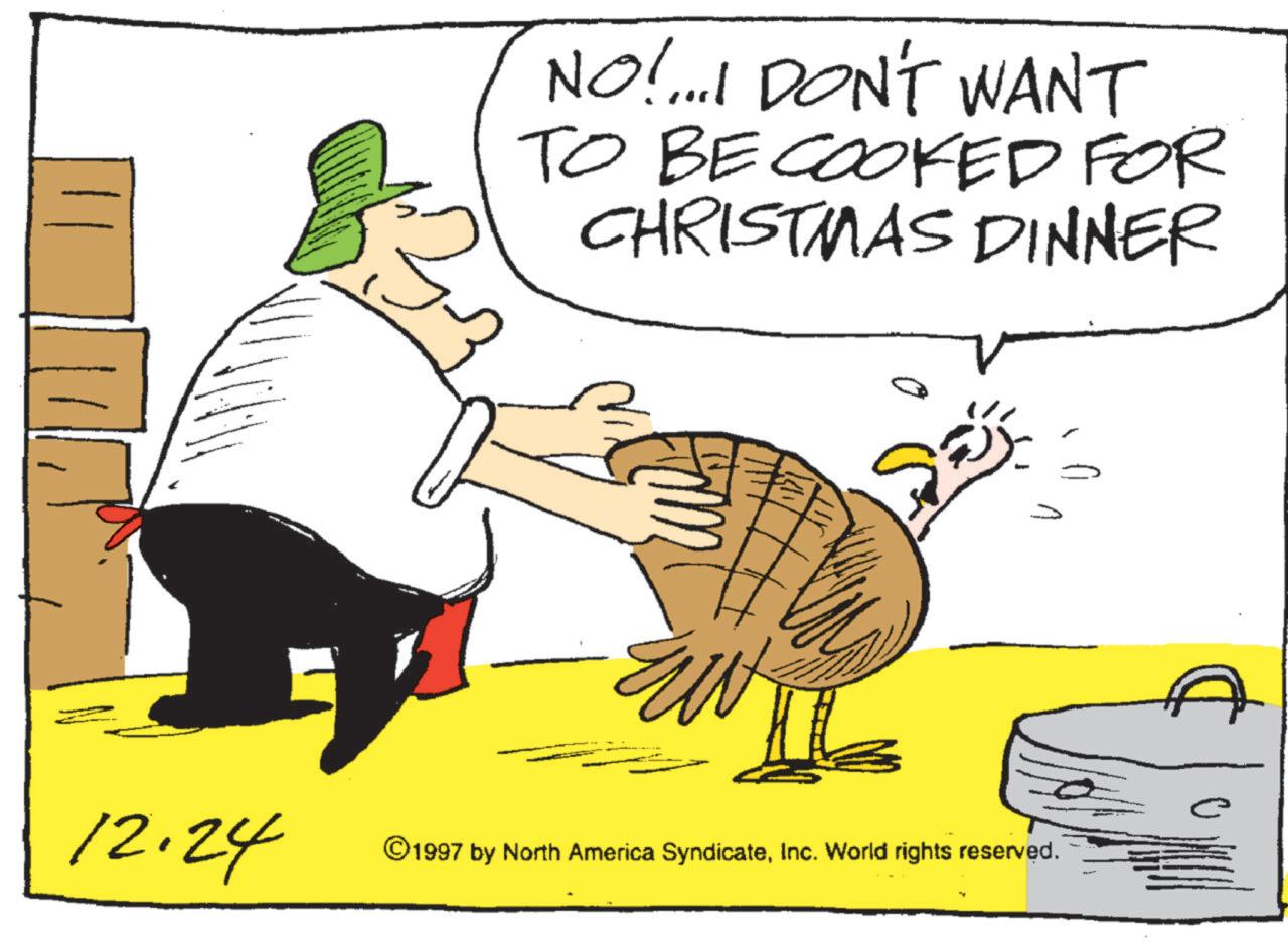 Fowl OCR: W NO!...! DON'T WANT TO BE COOKED FOR CHRISTMAS DINNER 5 12.24 ©1997 by North America SyndicateInc. World rights reserved. W NO ! ... ! DON'T WANT TO BE COOKED FOR CHRISTMAS DINNER 5 12.24 © 1997 by North America SyndicateInc. World rights reserved .