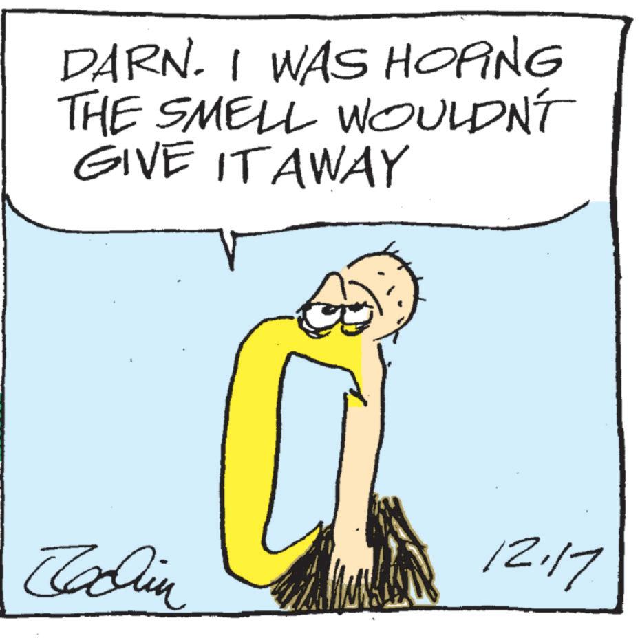 Graphics OCR: DARN. I WAS HOPING THE SMELL WOULDN'T GIVE IT AWAY 12.17 Jachin DARN . I WAS HOPING THE SMELL WOULDN'T GIVE IT AWAY 12.17 Jachin