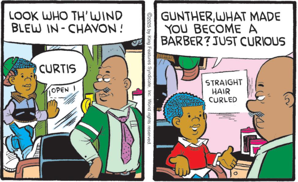 Animated cartoon OCR: LOOK WHO TH'WIND BLEW IN-CHAVON! CURTIS OPEN GUNTHERWHAT MADE YOU BECOME A BARBER? JUST CURIOUS 2025 by King Features SyndicateInc. World rights reserved. STRAIGHT HAIR CURLED 0 LOOK WHO TH'WIND BLEW IN - CHAVON ! CURTIS OPEN GUNTHERWHAT MADE YOU BECOME A BARBER ? JUST CURIOUS 2025 by King Features SyndicateInc. World rights reserved . STRAIGHT HAIR CURLED 0